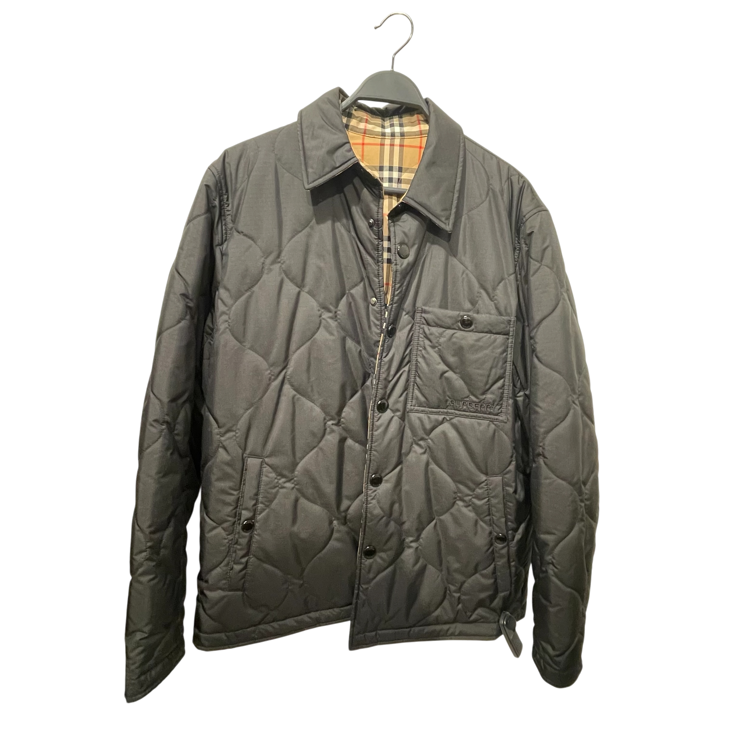 BURBERRY/Flannel Shirt/L/MLT/Plaid/ view 1