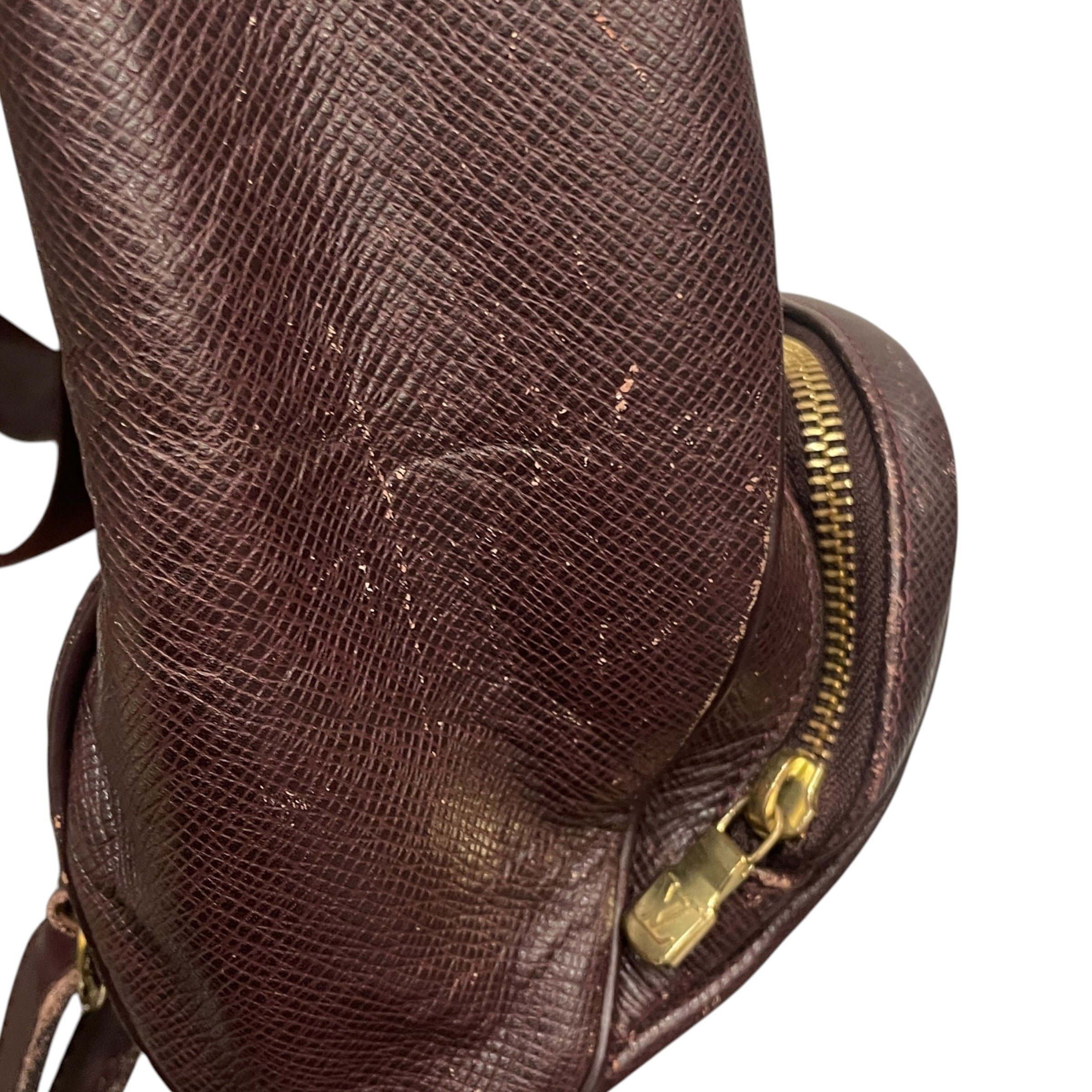 LOUIS VUITTON/Backpack/Suede/BRW/VINTAGE TAIGA CASSIAR BACKPACK view 6