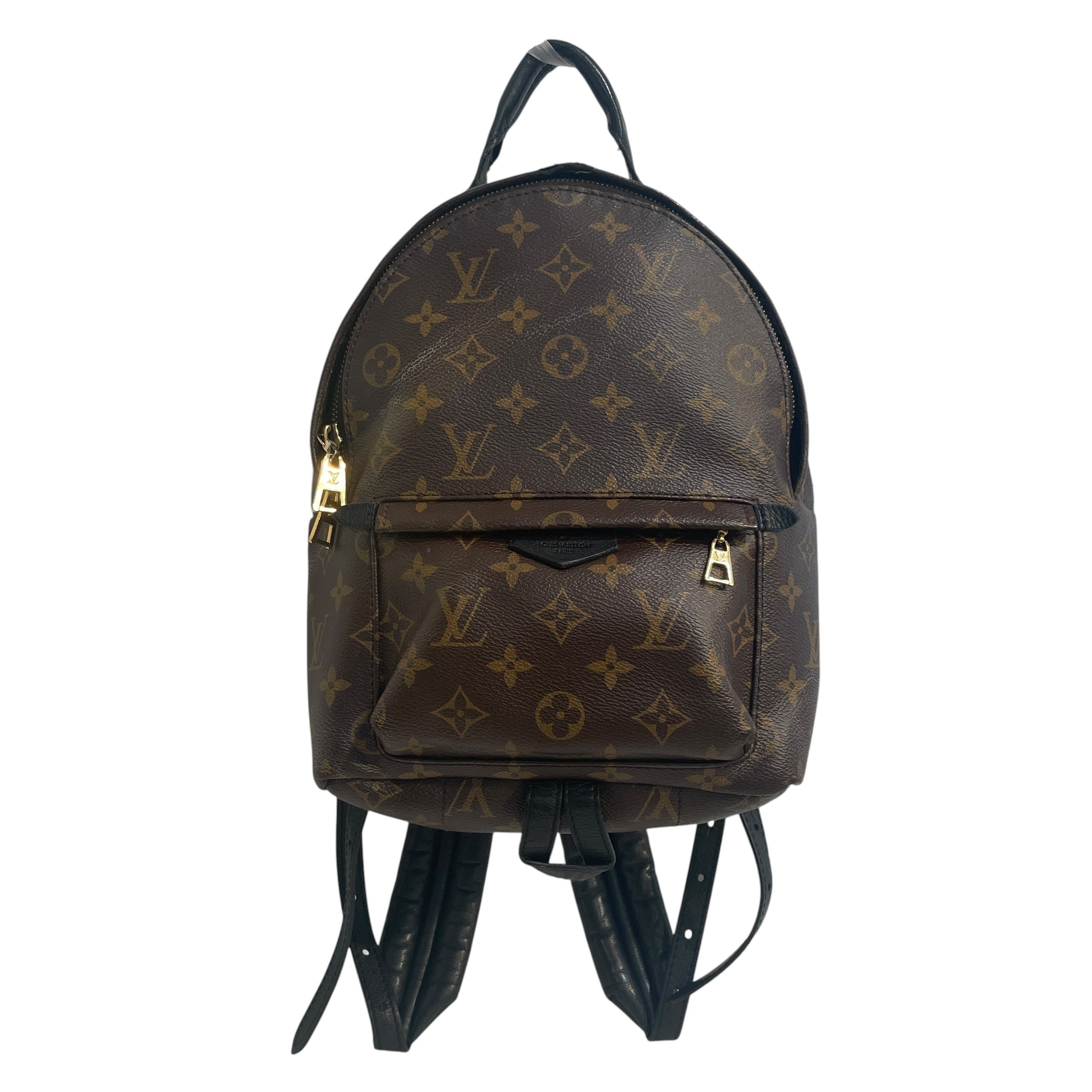 LOUIS VUITTON/Backpack/Monogram/Leather/BRW/Monogram Palm Springs view 1
