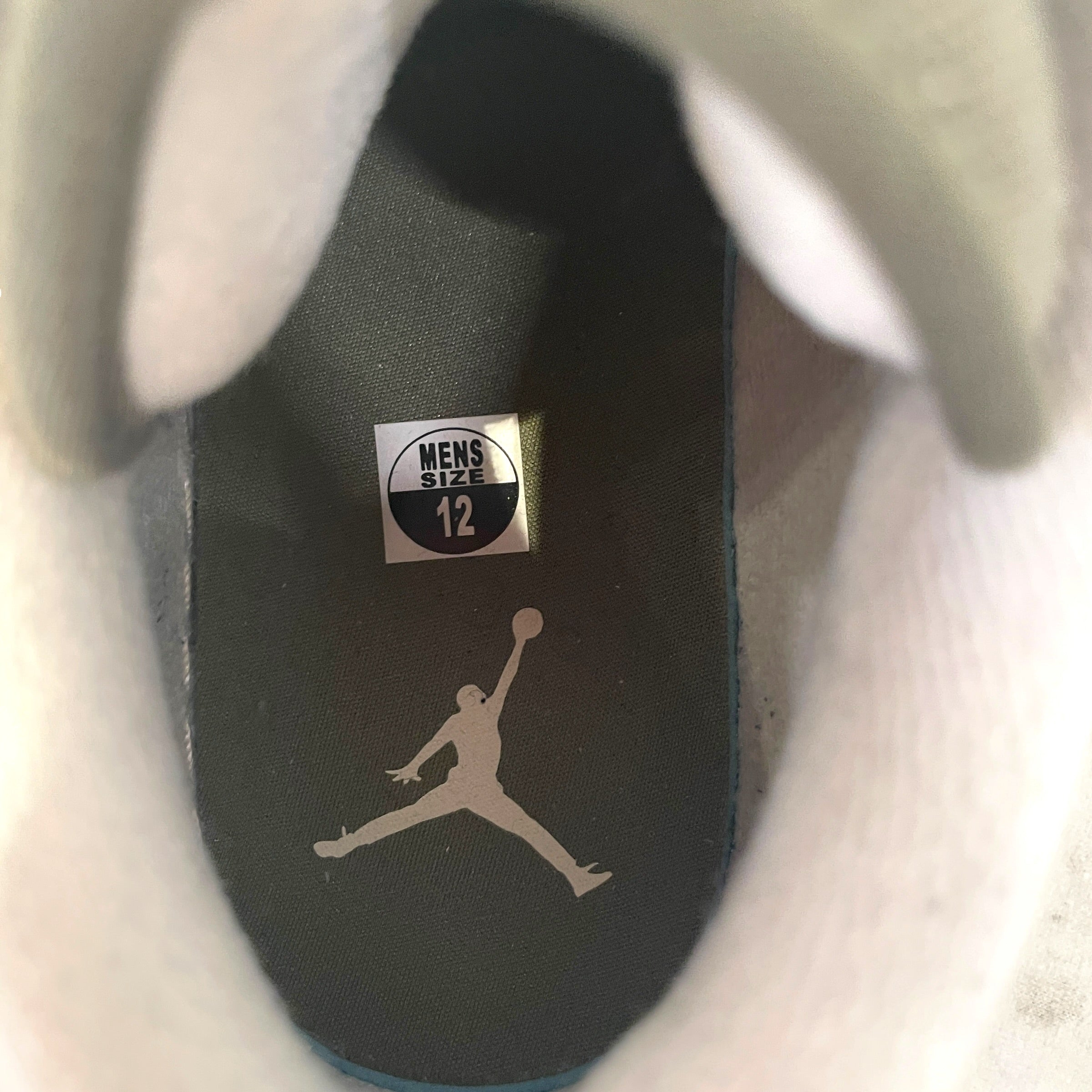 NIKE/Low-Sneakers/US 12/GRN/Air Jordan 1 Low SE view 3