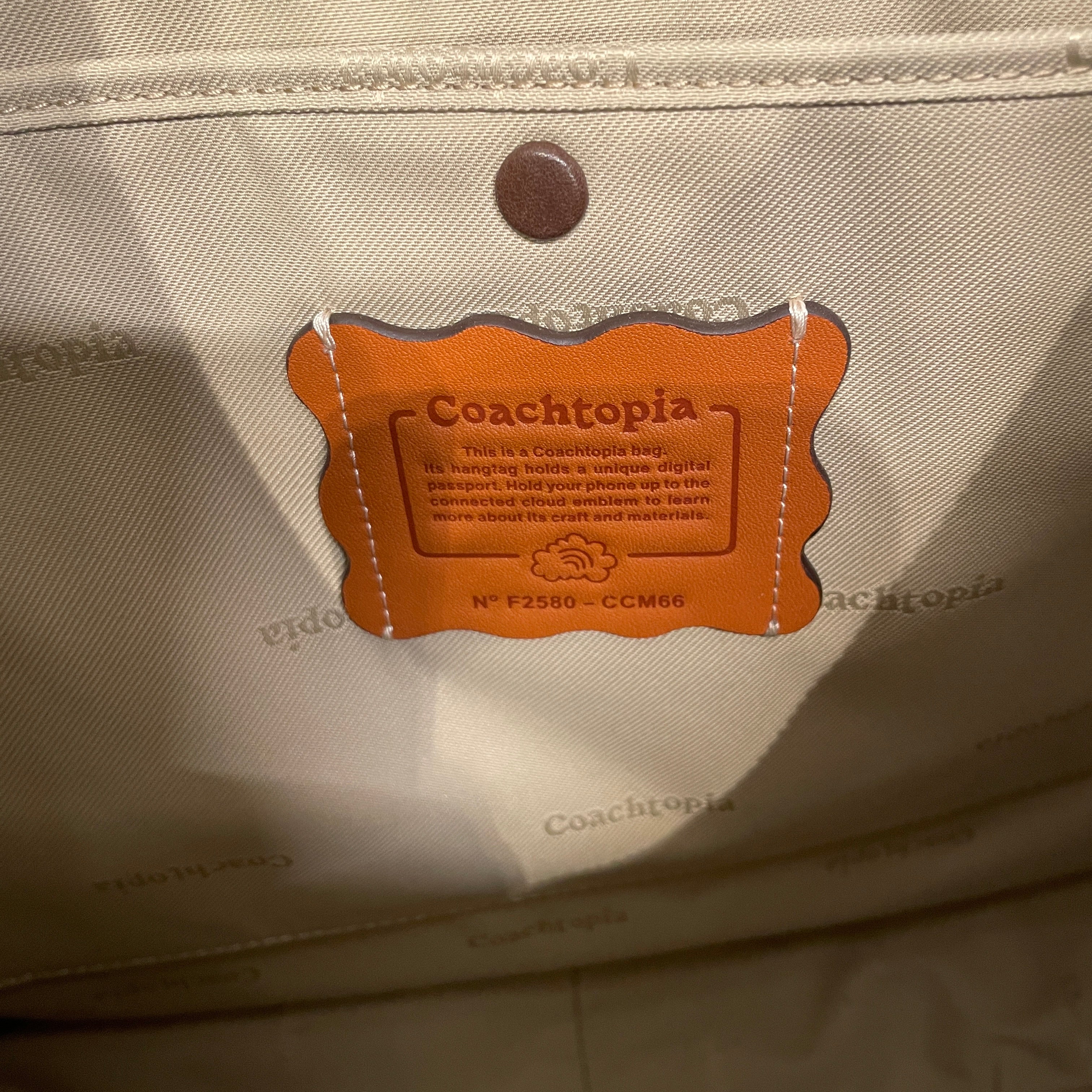 Coachtopia/Bag/Leather/BRW/ALTER EGO CRECENT SHOULDER BAG view 5