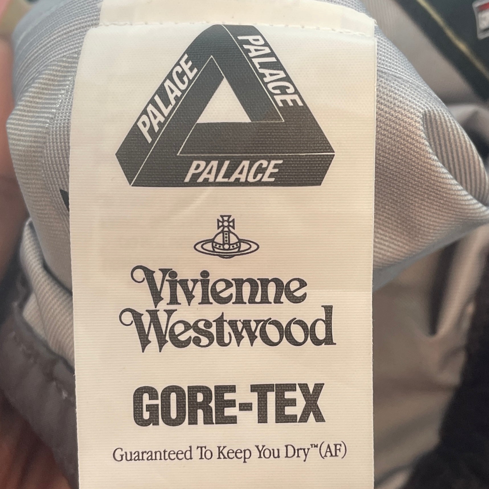 Vivienne Westwood/Long Skirt/S/All Over Print/Gore-Tex/GRY/palace collab dark print skirt view 3