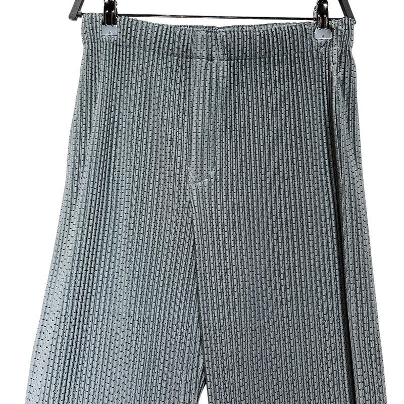 HOMME PLISSE ISSEY MIYAKE/Straight Pants/1/Polyester/GRY/