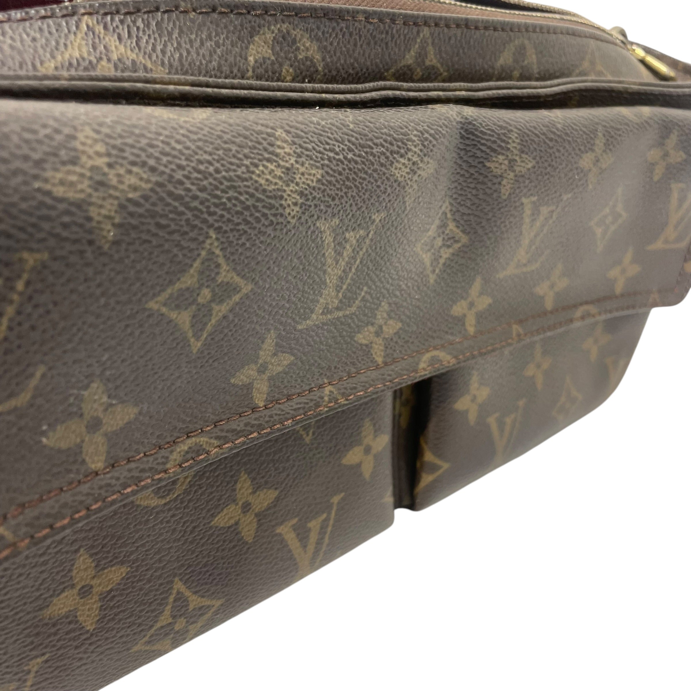 LOUIS VUITTON/Hand Bag/Monogram/Leather/BRW/VIVA CITE MM view 6