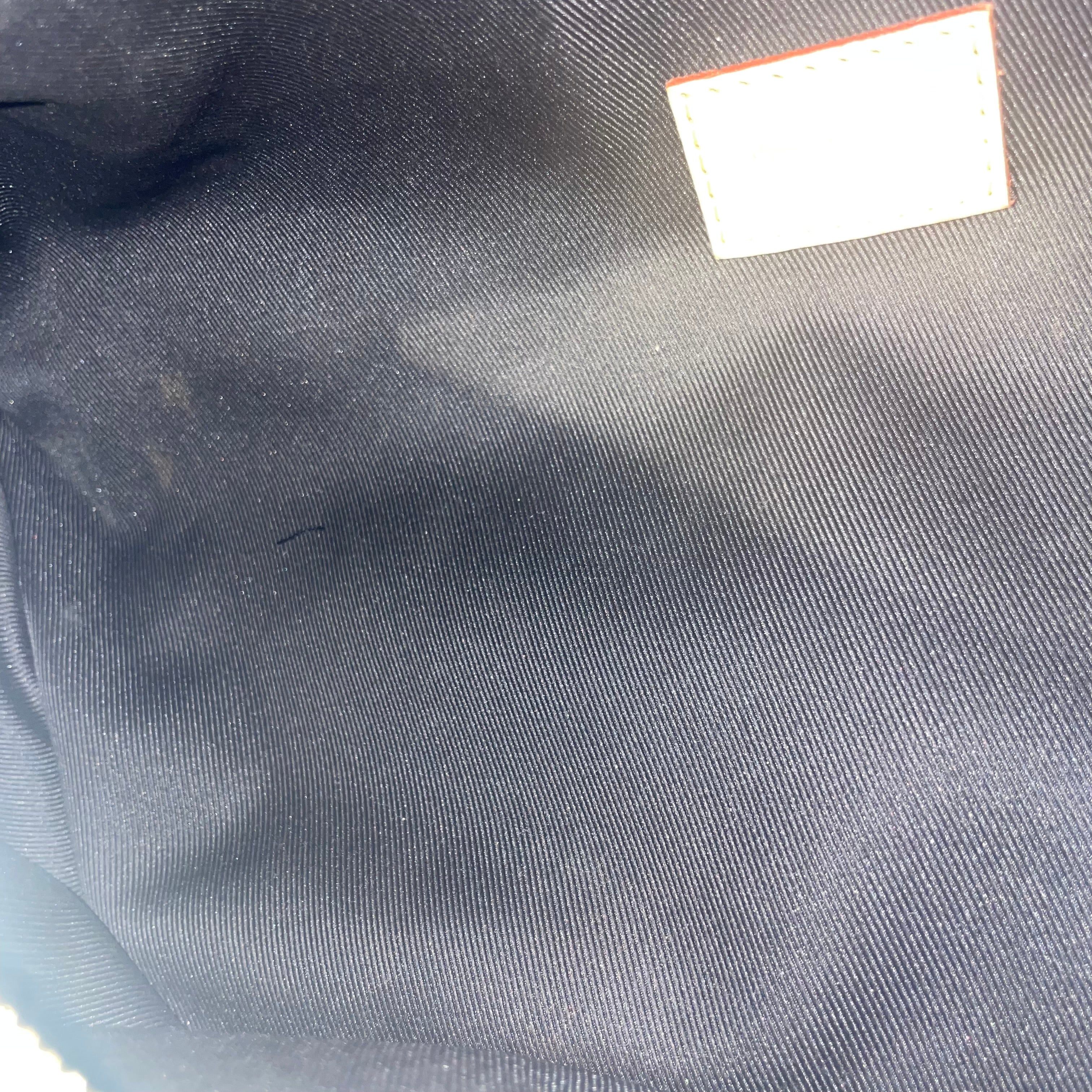LOUIS VUITTON/Fanny Pack/Monogram/Leather/BRW/bum bag view 5