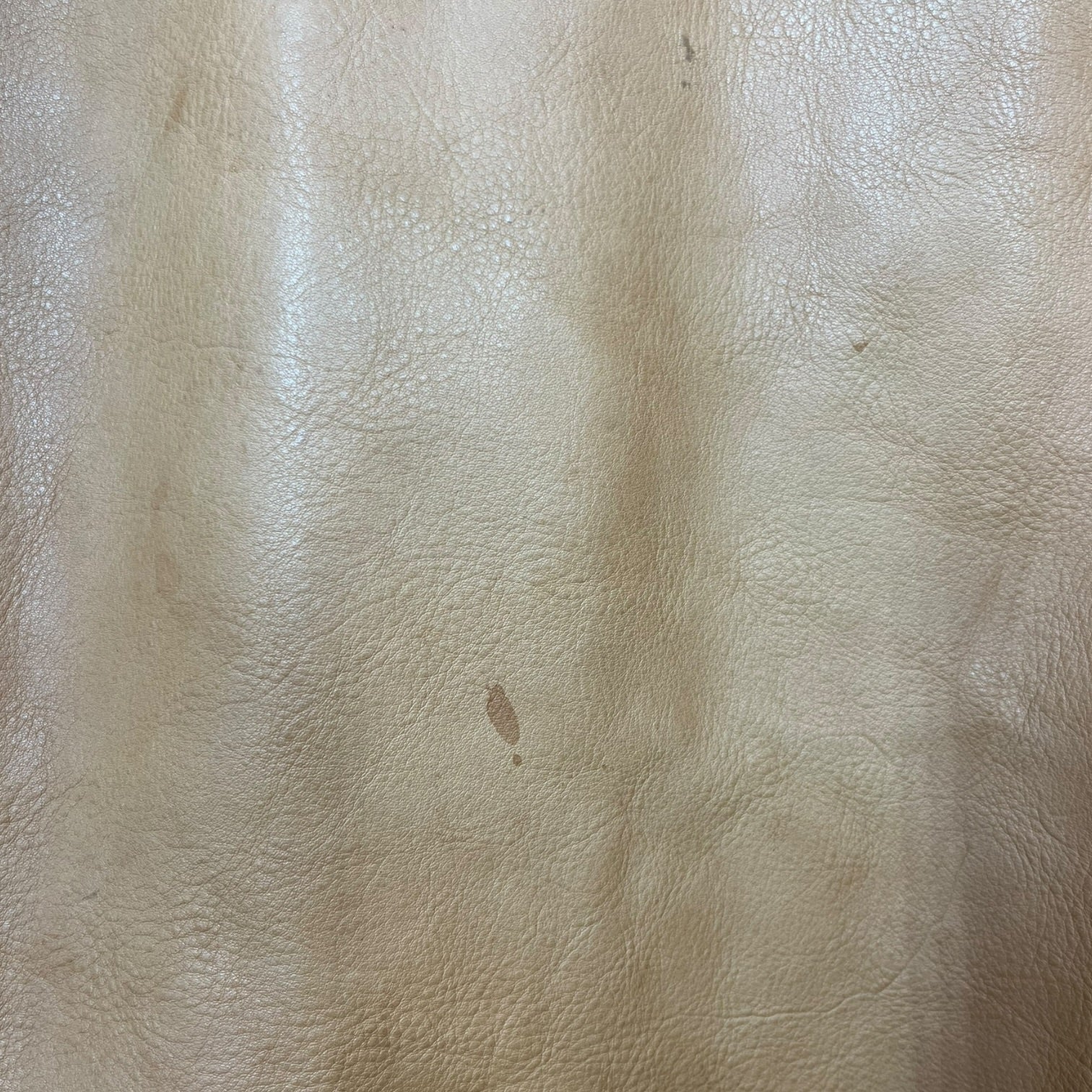 TENJIN WORKS/Leather Jkt/38/Leather/CML/JS02 view 6