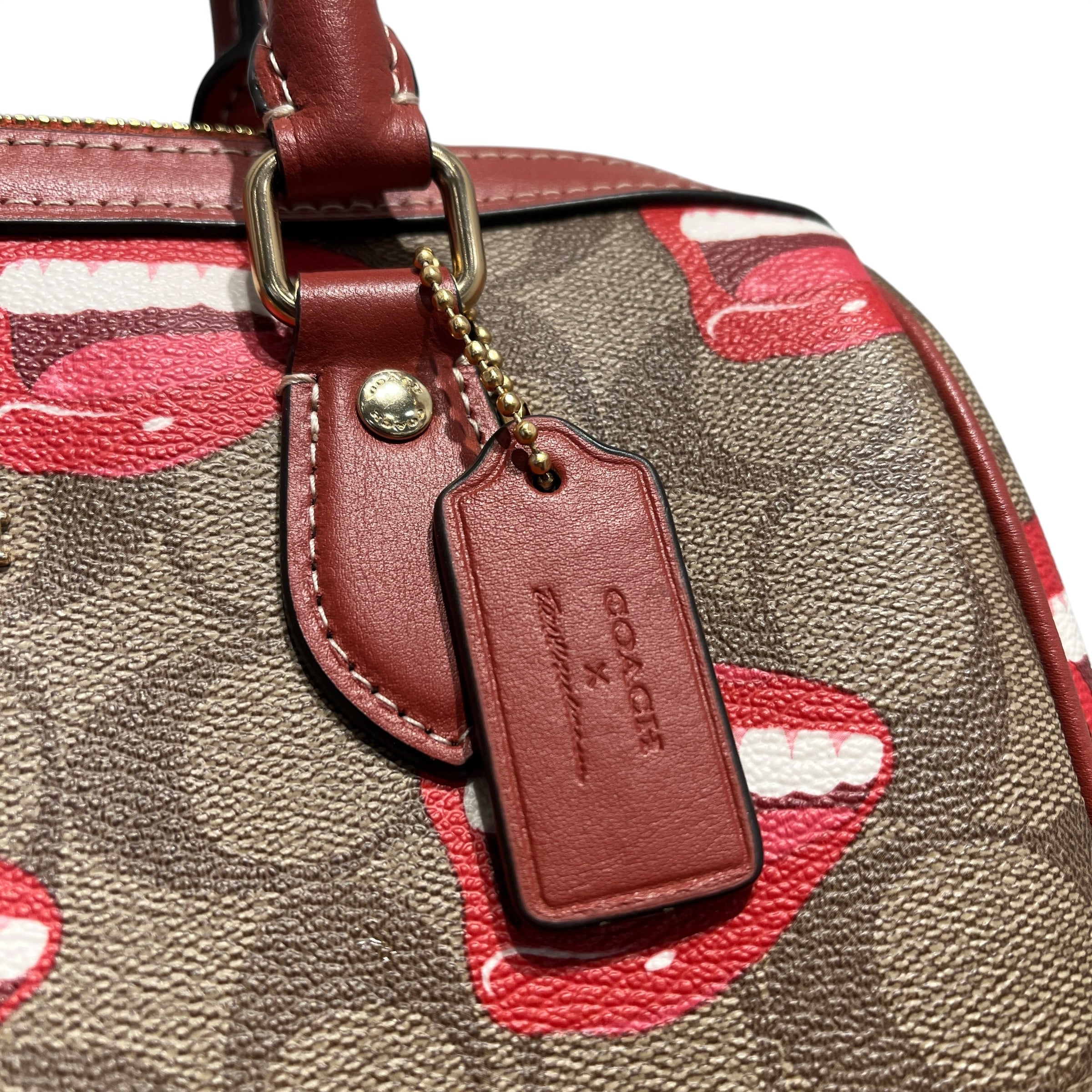 COACH/Bag/All Over Print/Leather/BRW/SATCHEL MOUTH PRINT view 7