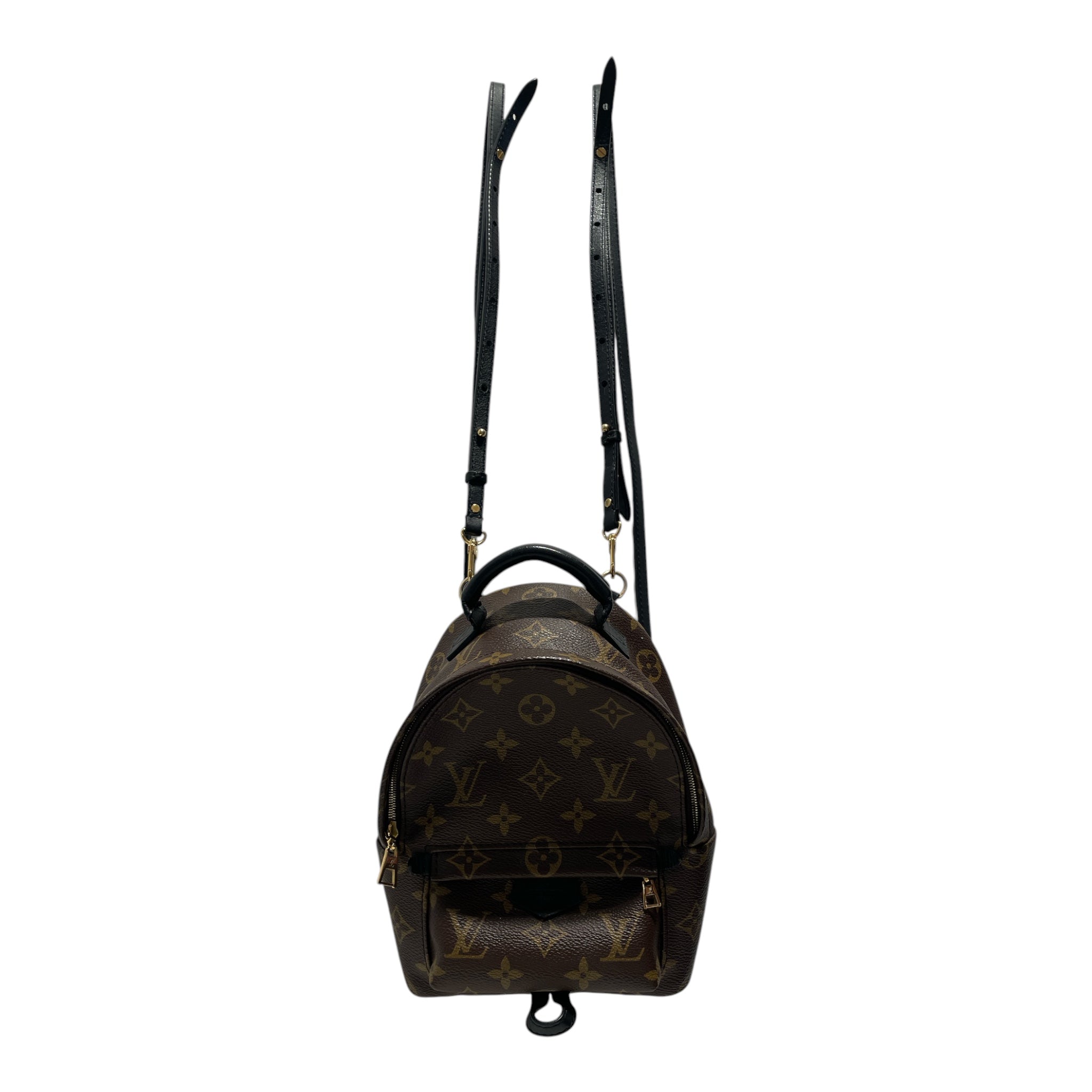 LOUIS VUITTON/Backpack/Monogram/Leather/BRW/Palm Spring mini view 1