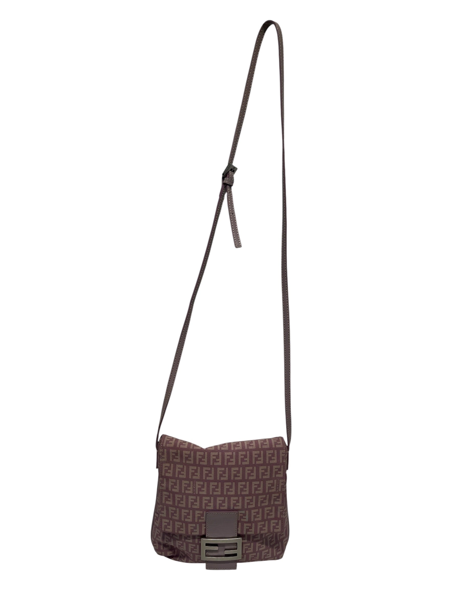 FENDI/Cross Body Bag/Monogram/PPL/ZUCCHINO CANVAS view 1