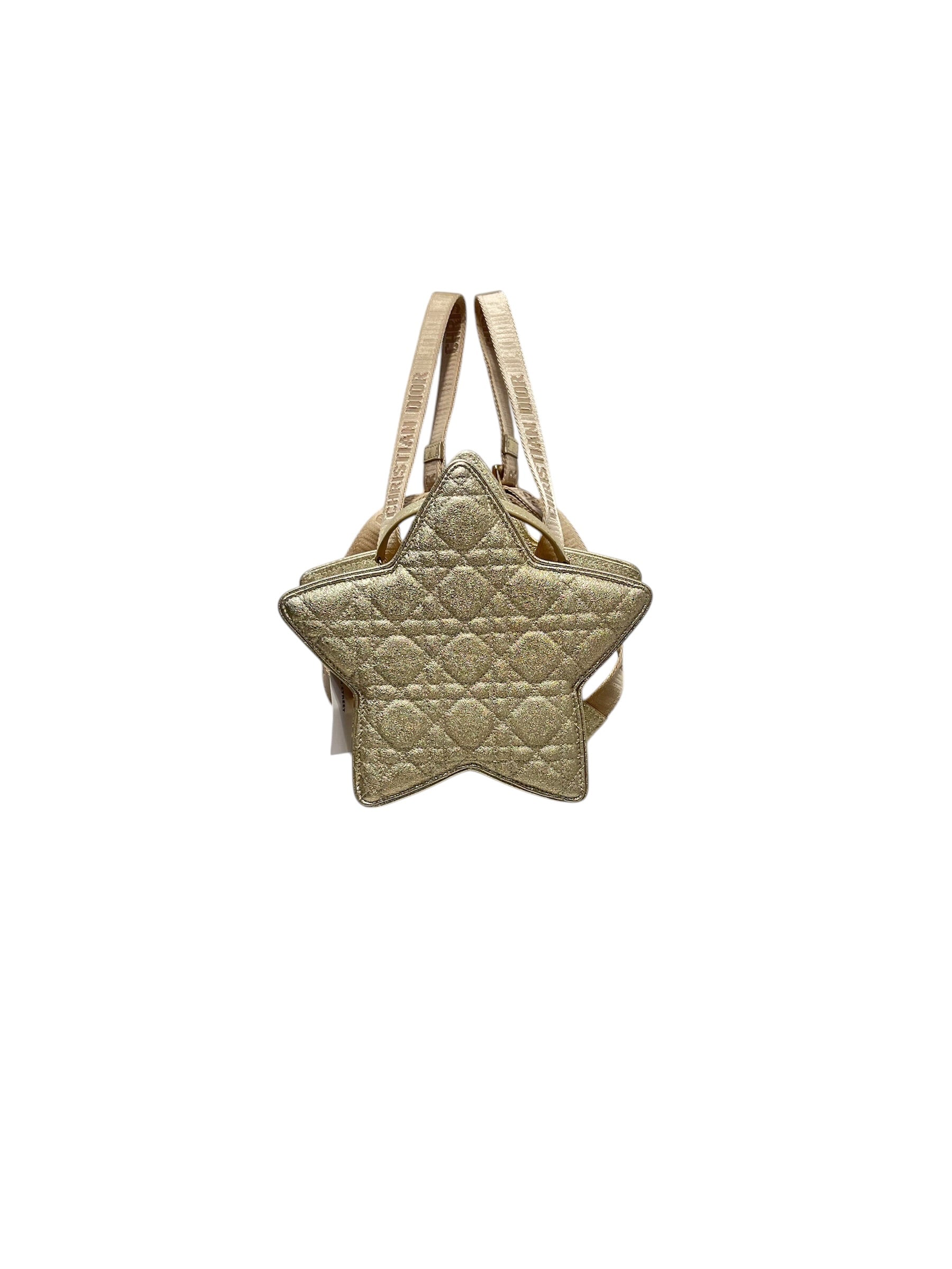 Christian Dior/Backpack/Glitter/GLD/QUILTED STAR MINI BACKPACK view 1