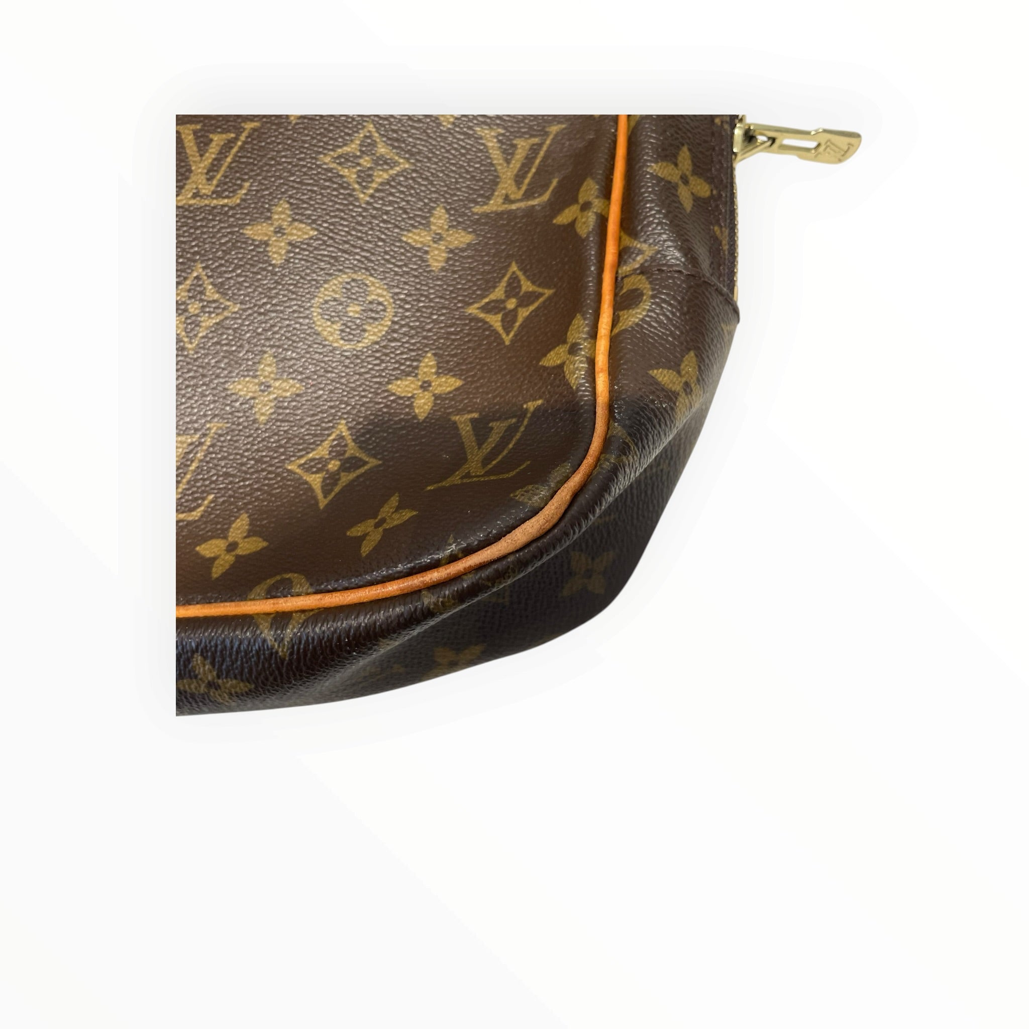 LOUIS VUITTON/Bag/Leather/BRW/Mono Porte-Doc Pegase view 9