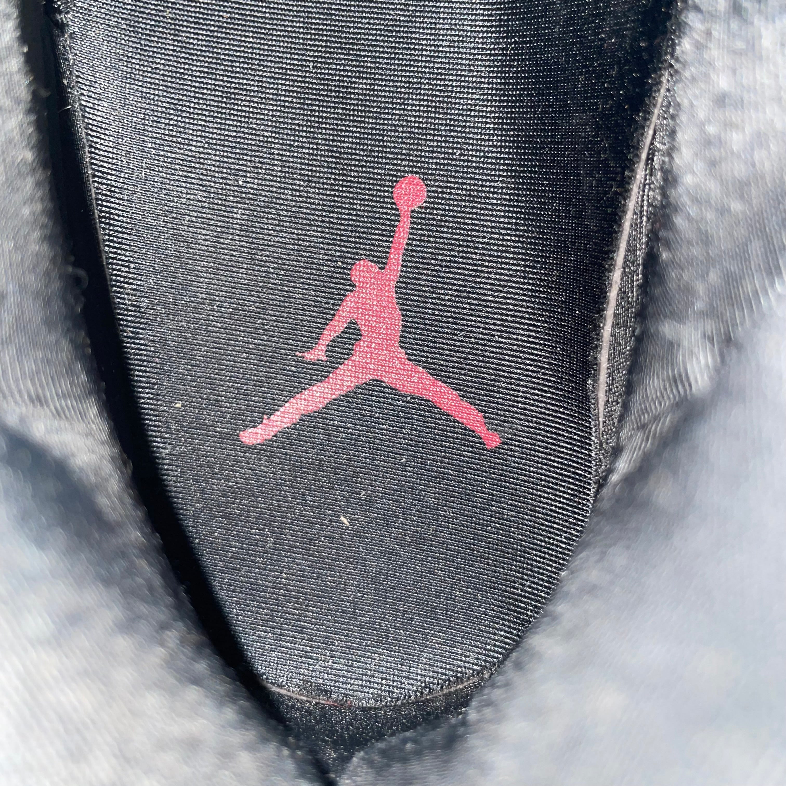 NIKE/AIR JORDAN 11 RETRO/Hi-Sneakers/US 6.5/Leopard/Cotton/WHT/AR0715-010 view 3