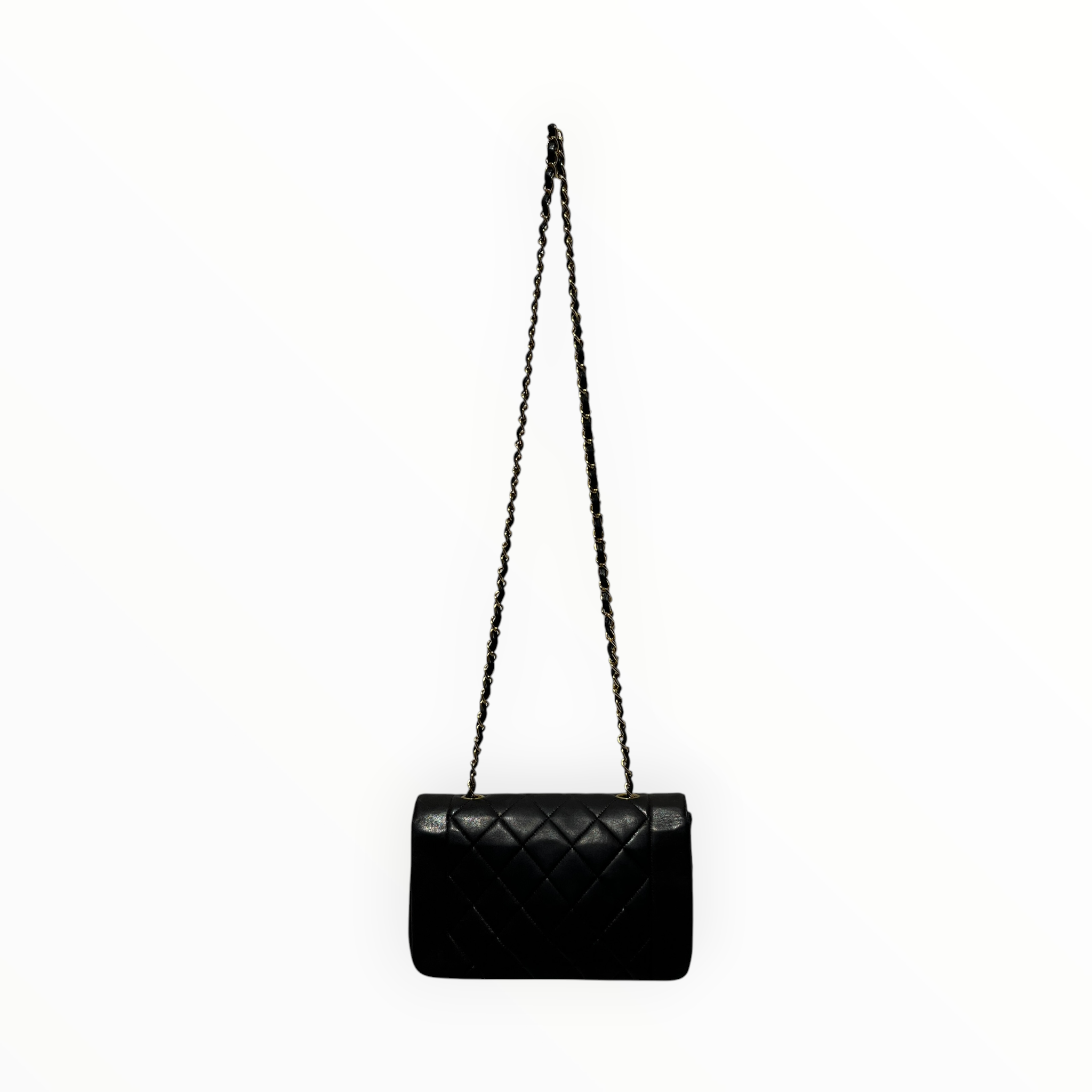 CHANEL/Cross Body Bag/Leather/BRW/diana bag view 2