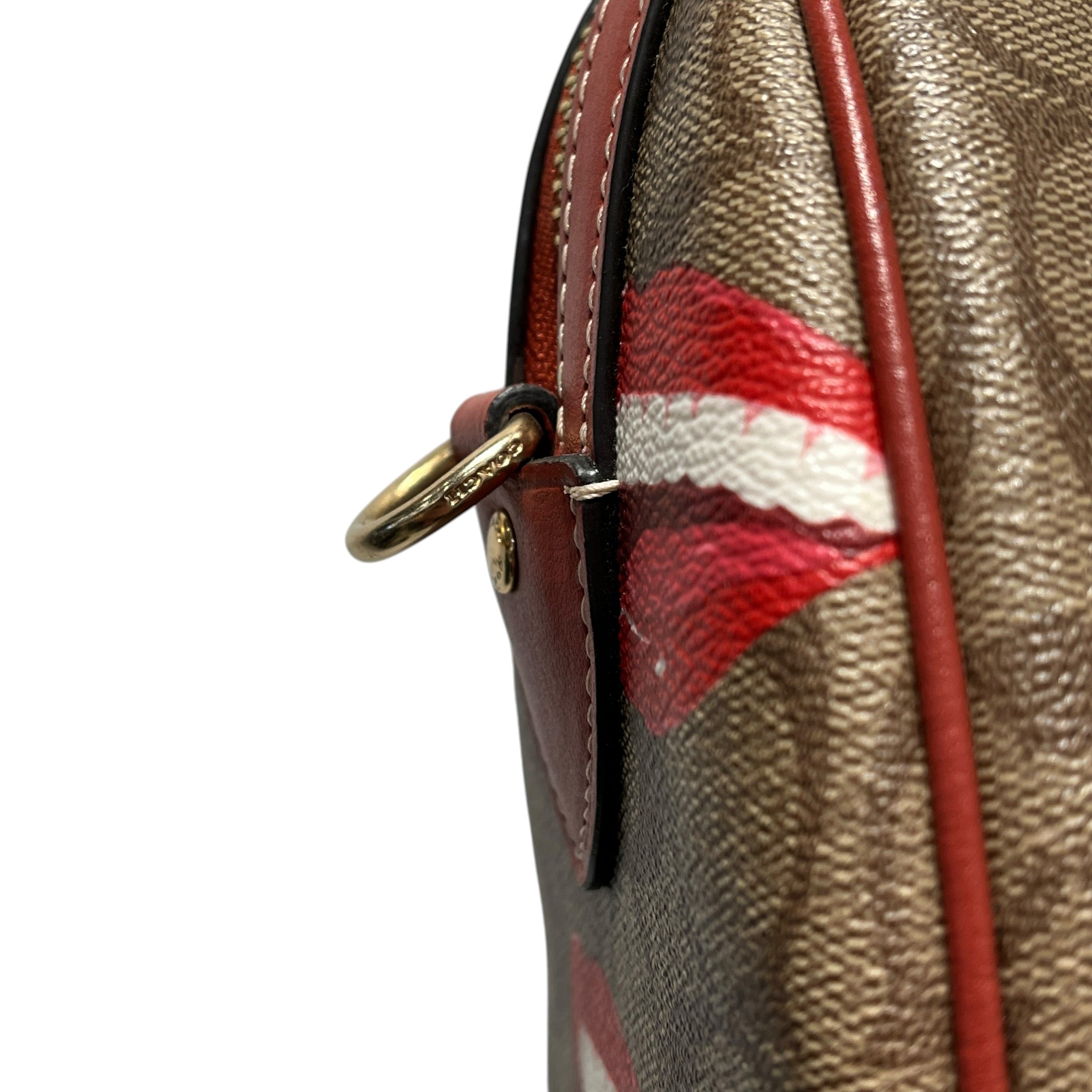 COACH/Bag/All Over Print/Leather/BRW/SATCHEL MOUTH PRINT view 17