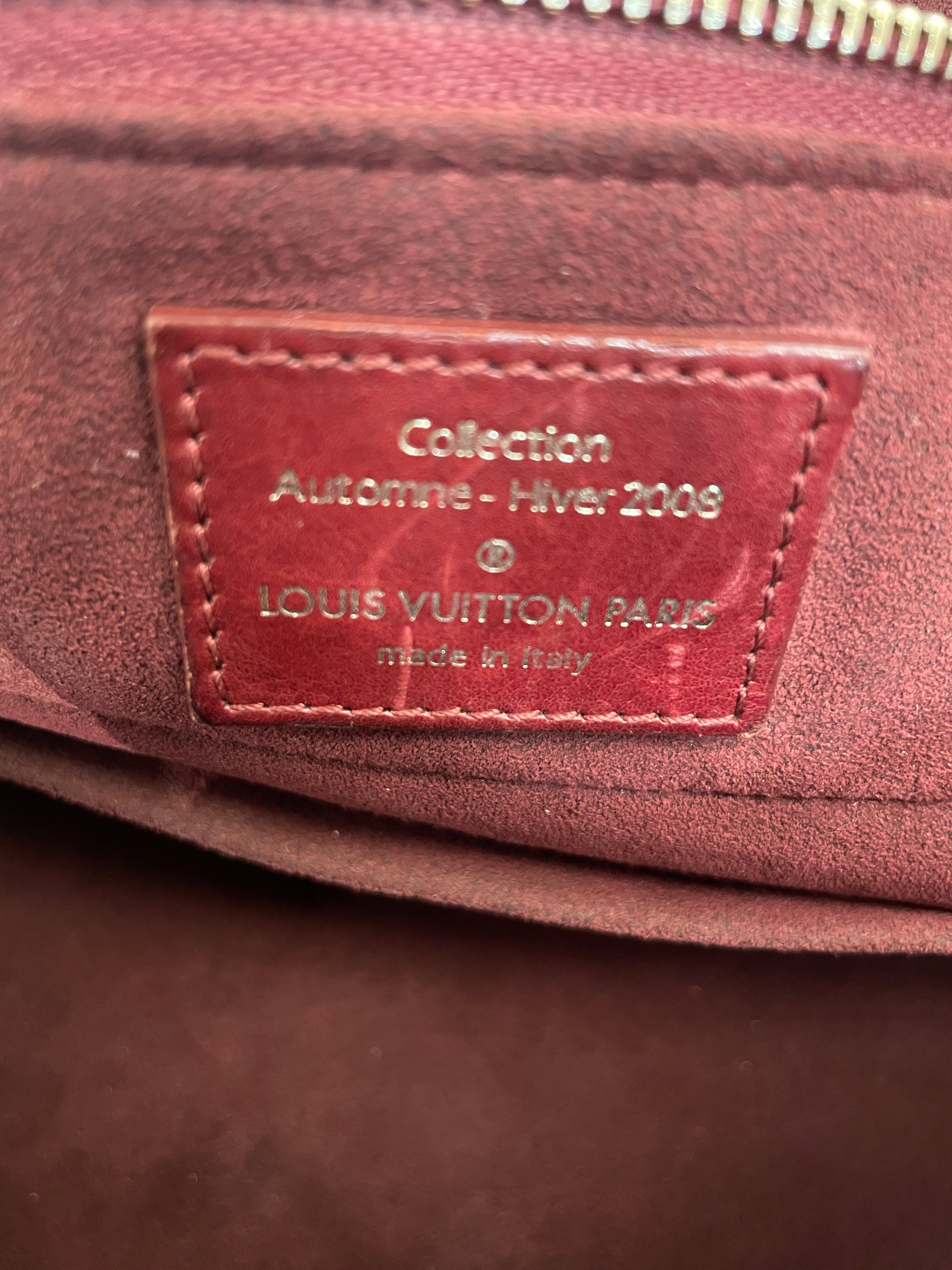 LOUIS VUITTON/Bag/Leather/BRD/souple wish view 6