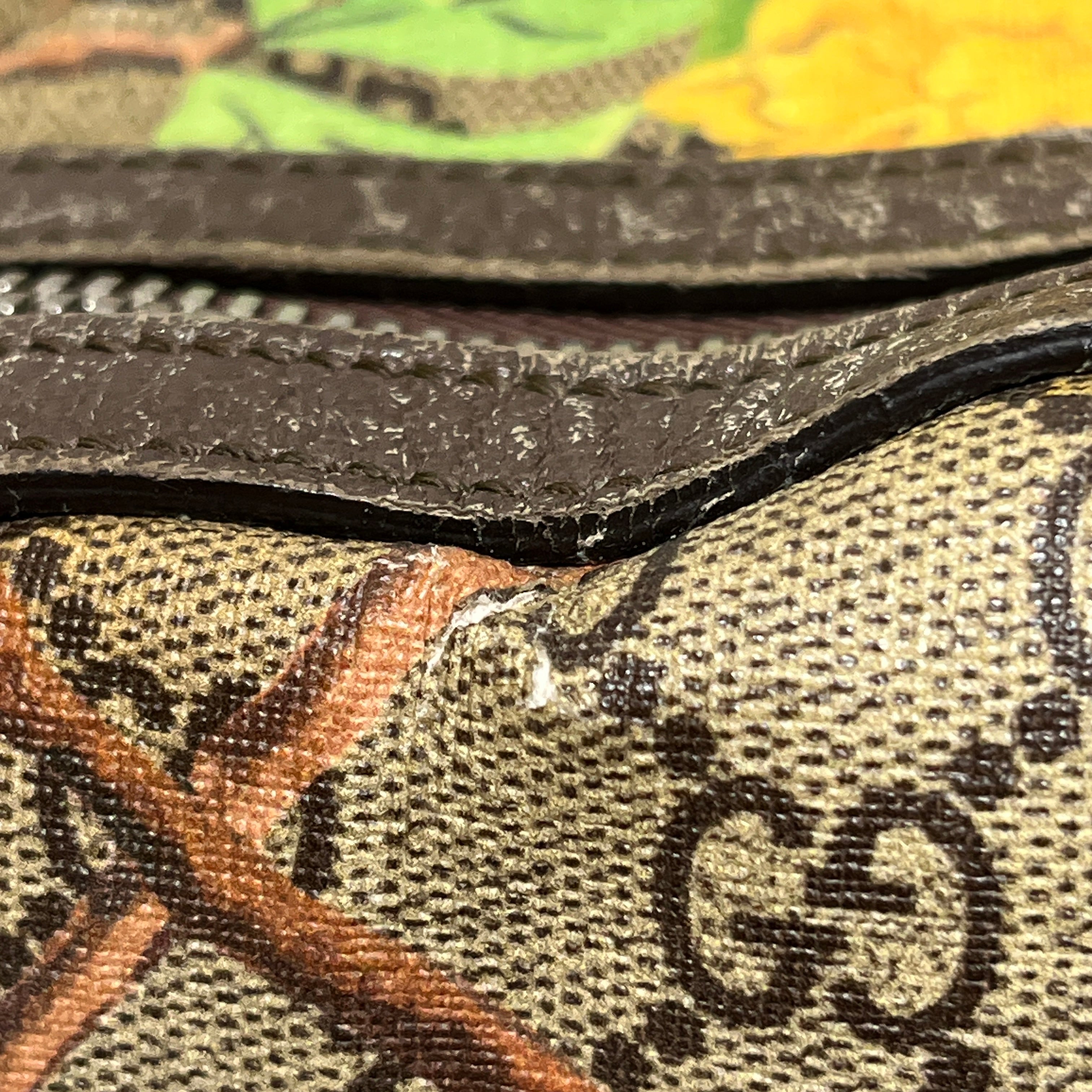 GUCCI/Backpack/Monogram/Leather/BRW/GG Supreme Tian Print Backpack view 12