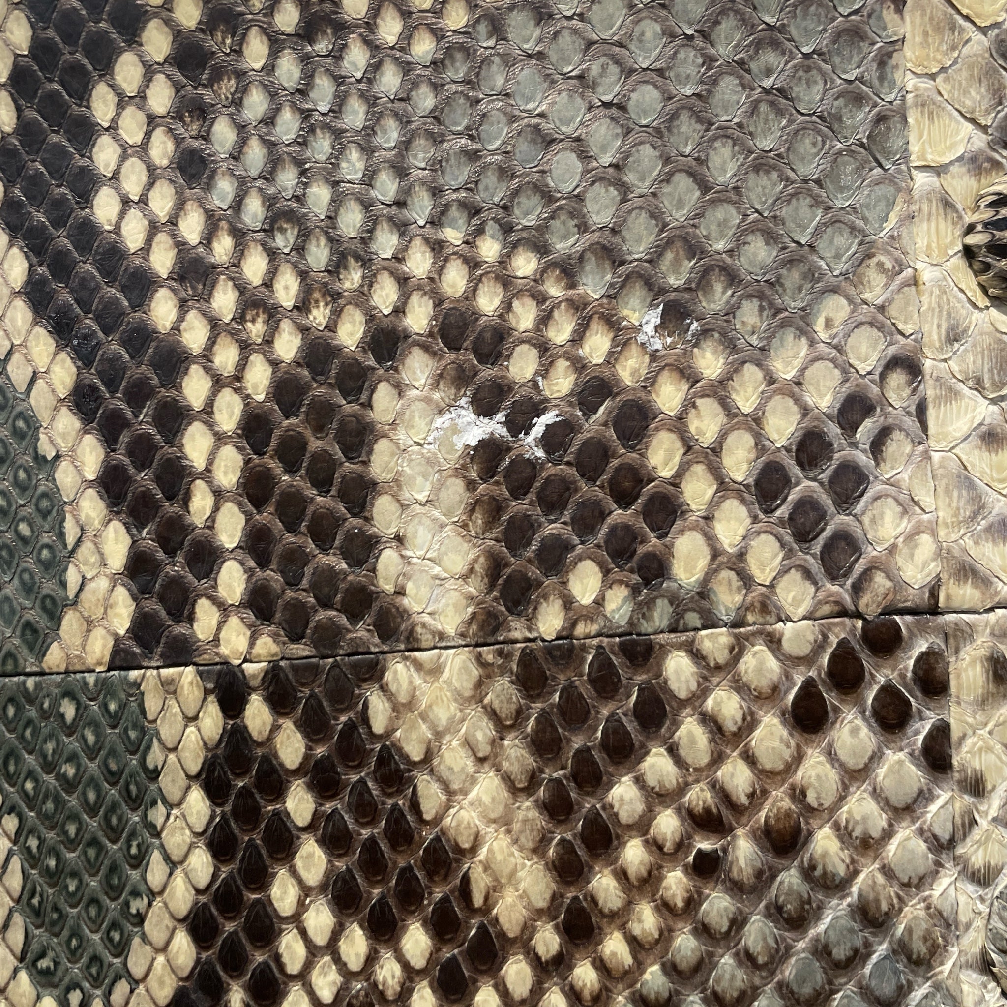 archipelago design/Hand Bag/Animal Pattern/GRN/ view 4