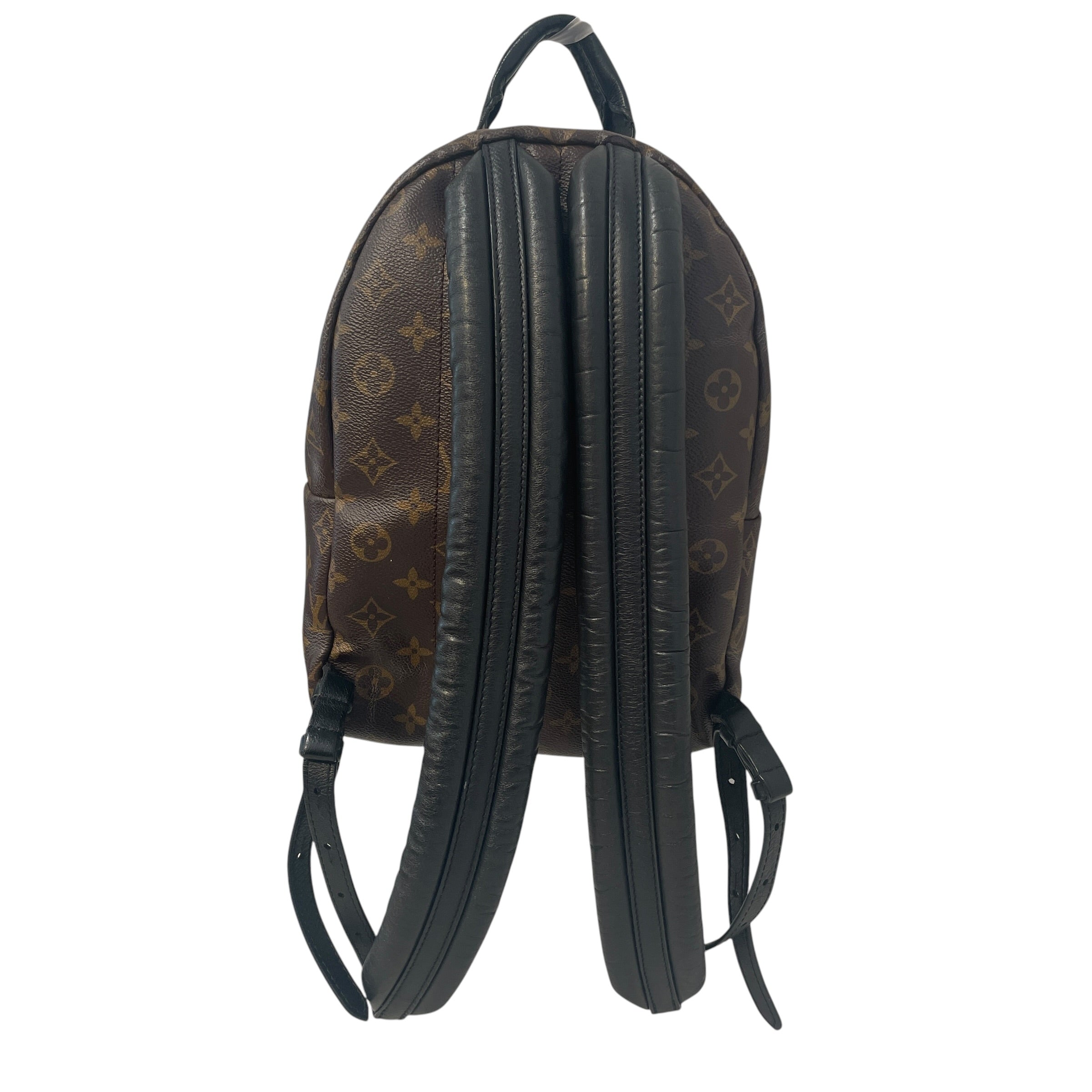 LOUIS VUITTON/Backpack/Monogram/Leather/BRW/Monogram Palm Springs view 2