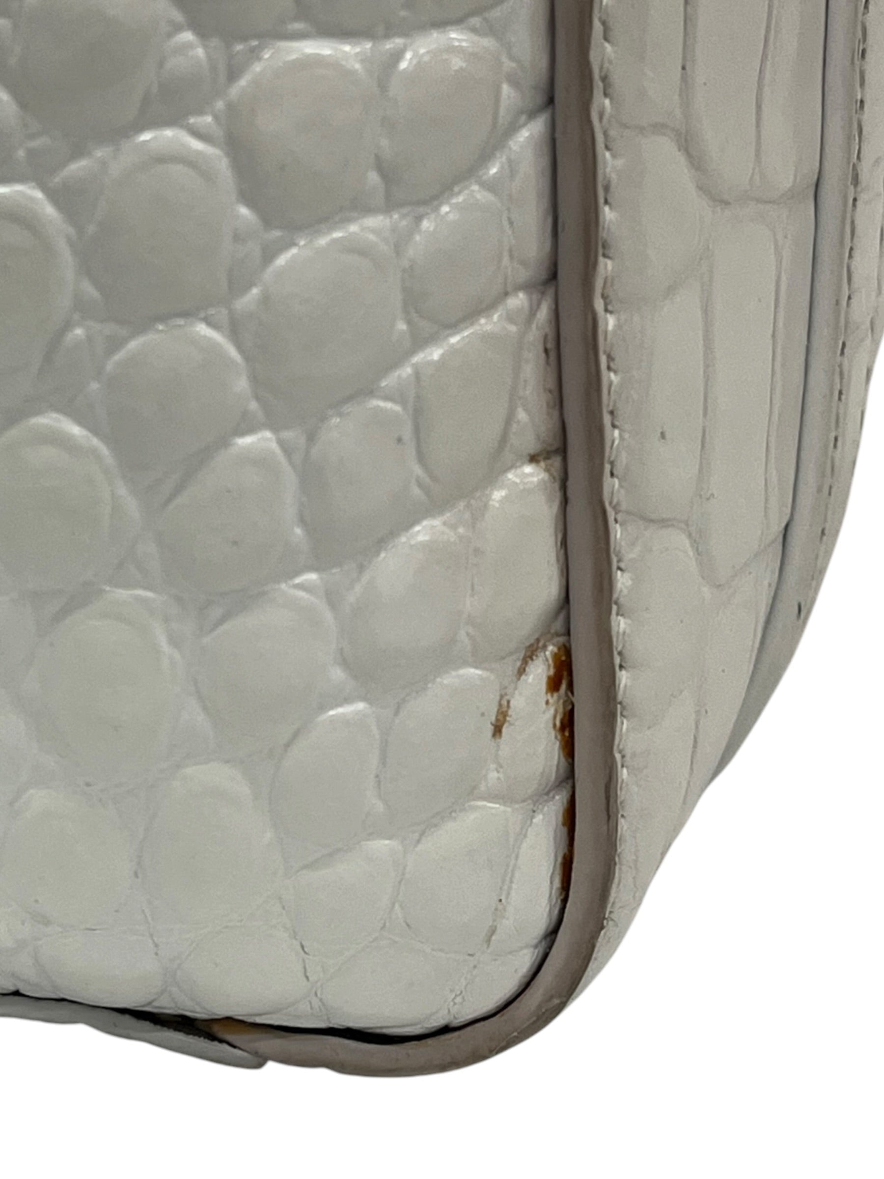 BALENCIAGA/Tote Bag/WHT/ALIGATOR SKIN BAG view 9