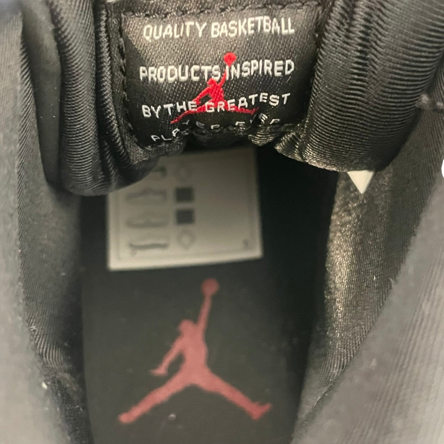 NIKE/AIR JORDAN 11 RETRO/Hi-Sneakers/US 7.5/Animal Pattern/Fake Fur/BLK/AR0715-010 view 3