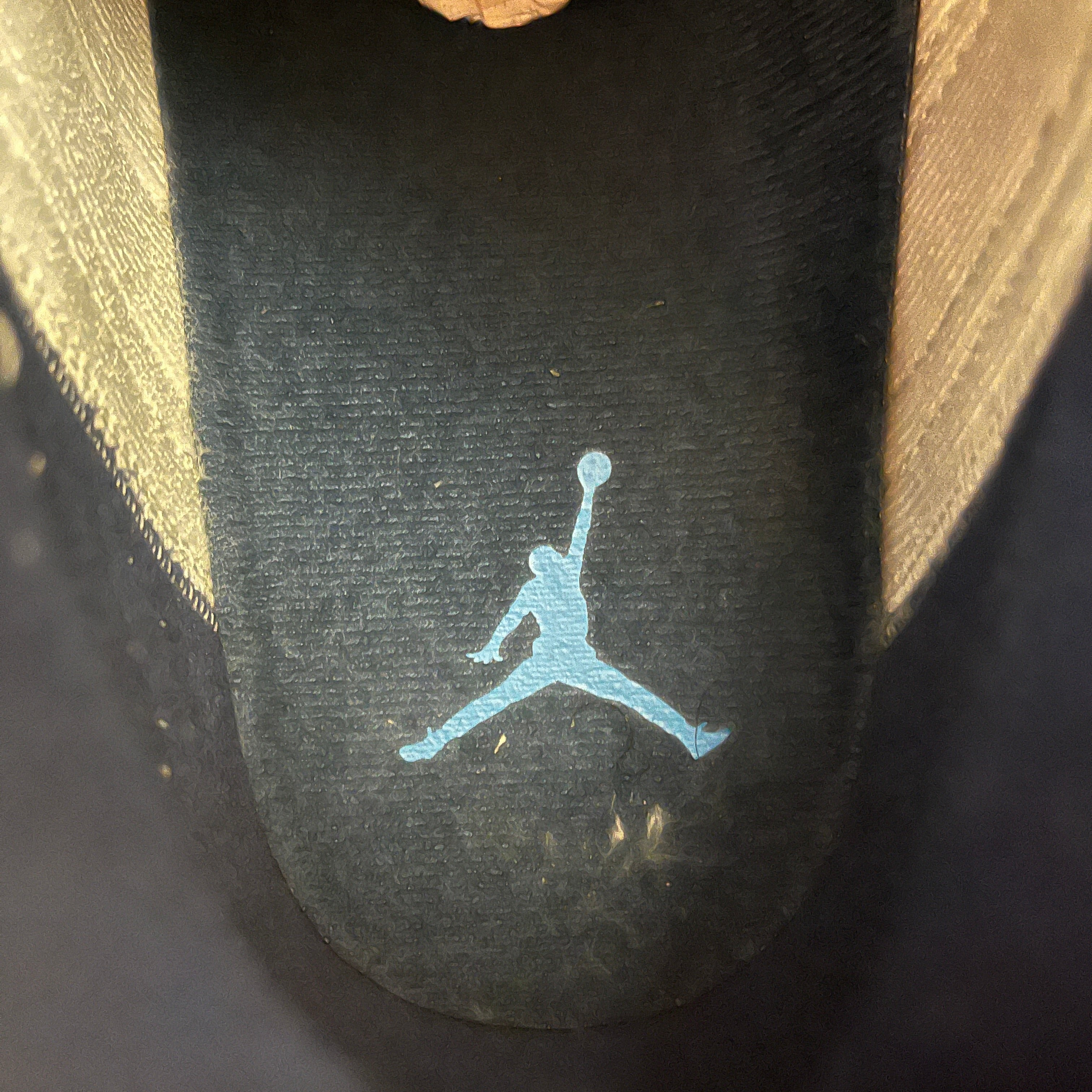 NIKE/Hi-Sneakers/US 13/Leather/NVY/Flint 13s view 3