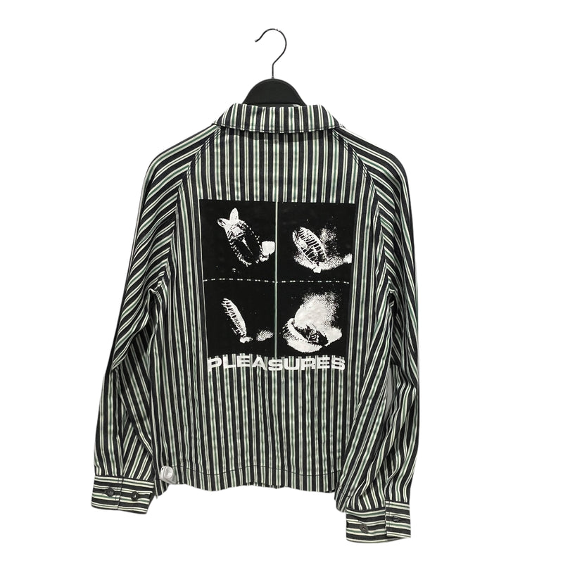 Pleasures/LS Shirt/M/Cotton/GRN/Stripe/back graphic