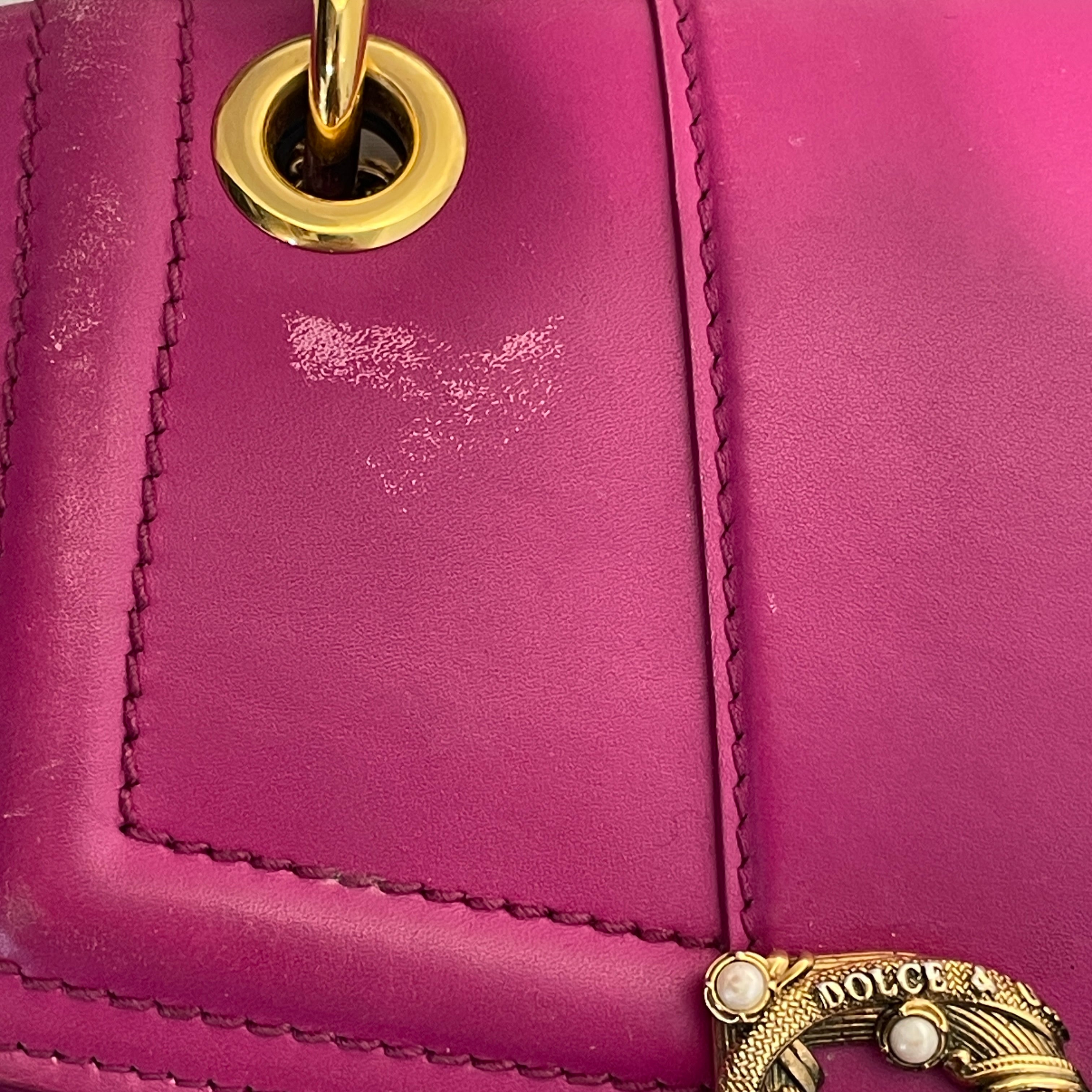 DOLCE&GABBANA/Cross Body Bag/Leather/PPL/gold buckle view 4