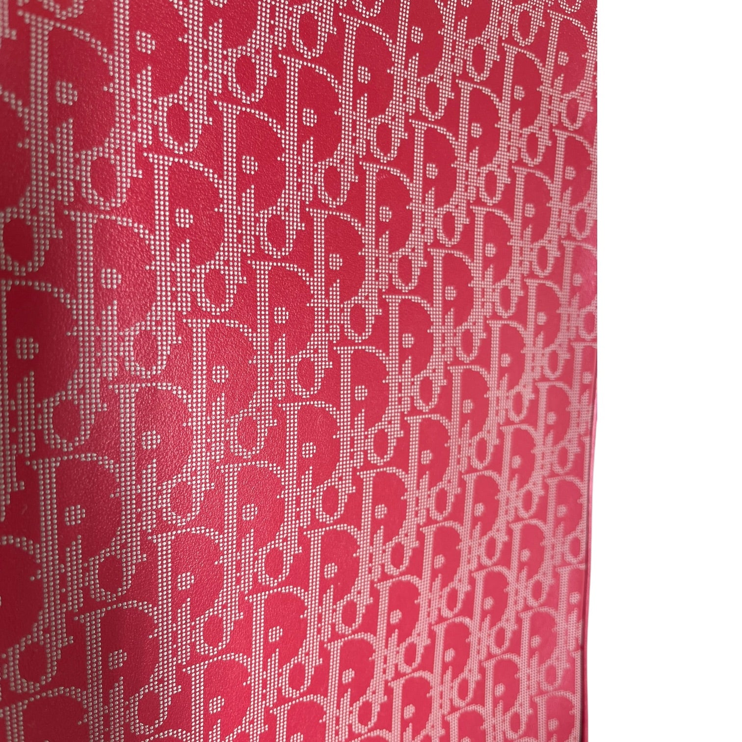 Christian Dior/Bag/Monogram/Leather/RED/SHOE CASE view 4