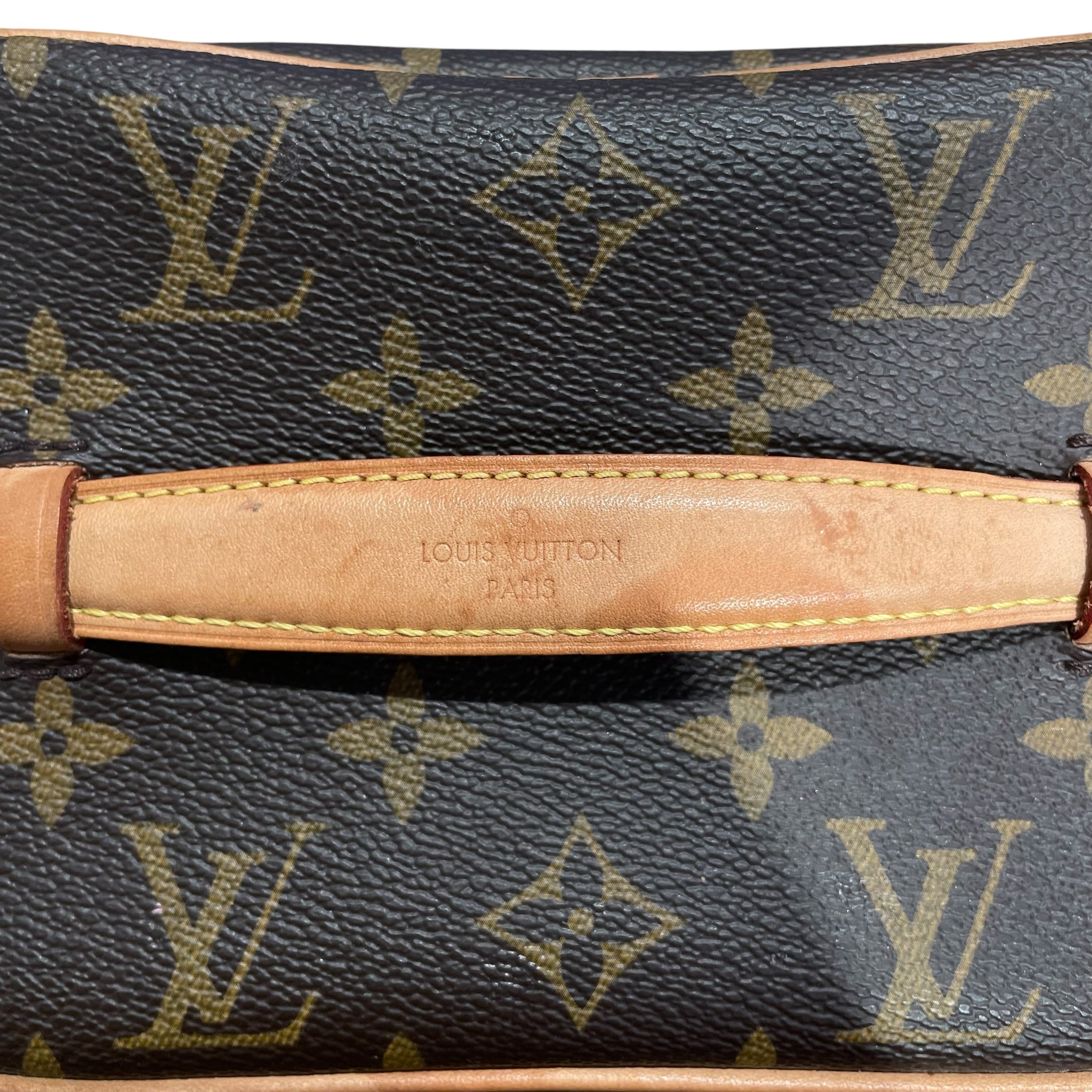 LOUIS VUITTON/Bag/Monogram/Leather/BRW/NICE MINI view 9