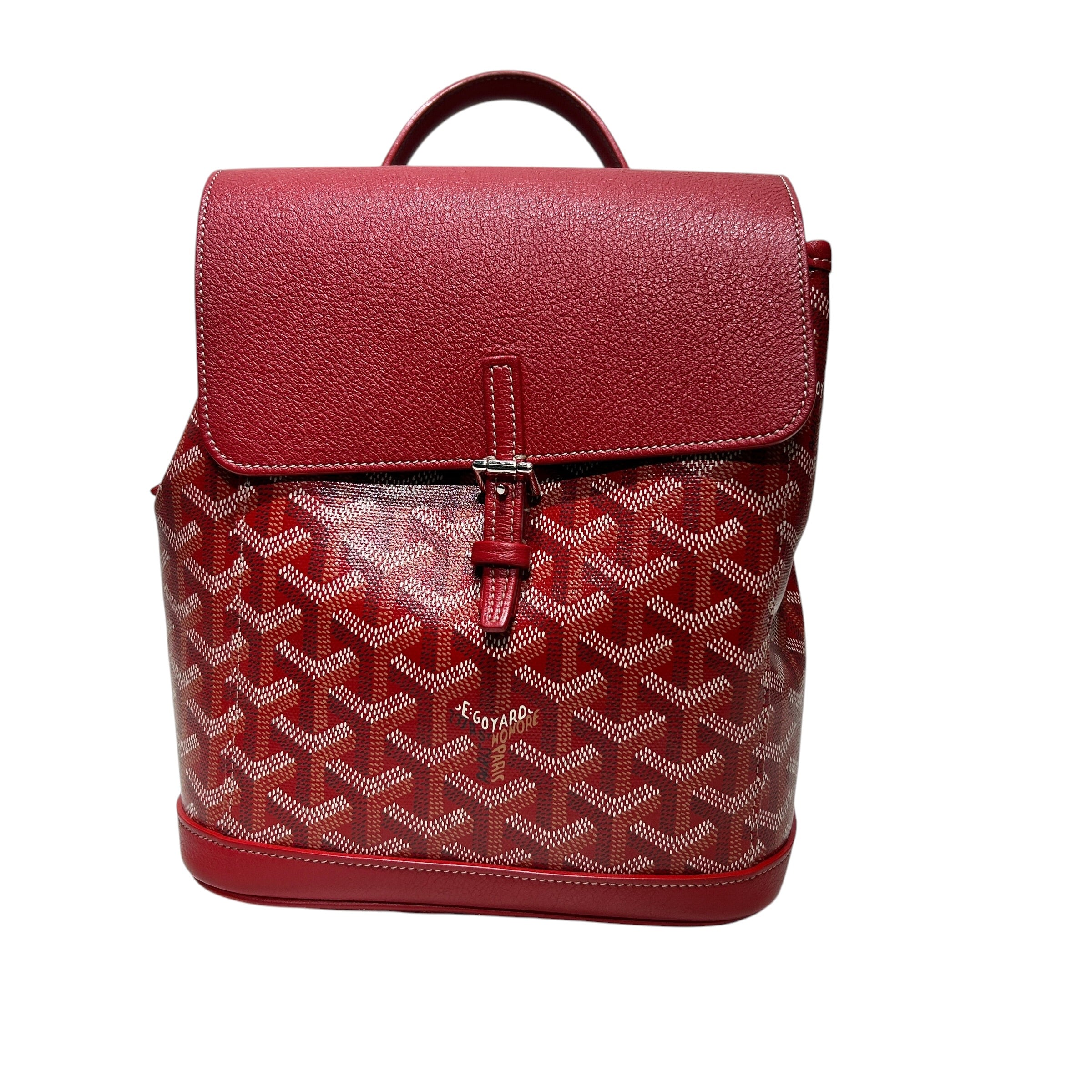 GOYARD/Backpack/Leather/RED/alpin mini view 1