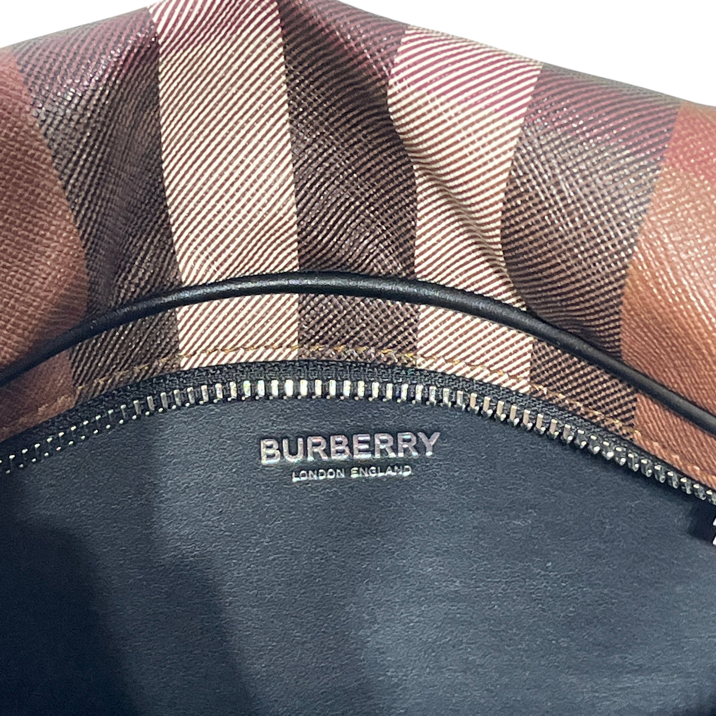 BURBERRY/Fanny Pack/Plaid/BRW/GIANT CHECK CASON FANNY PACK view 3