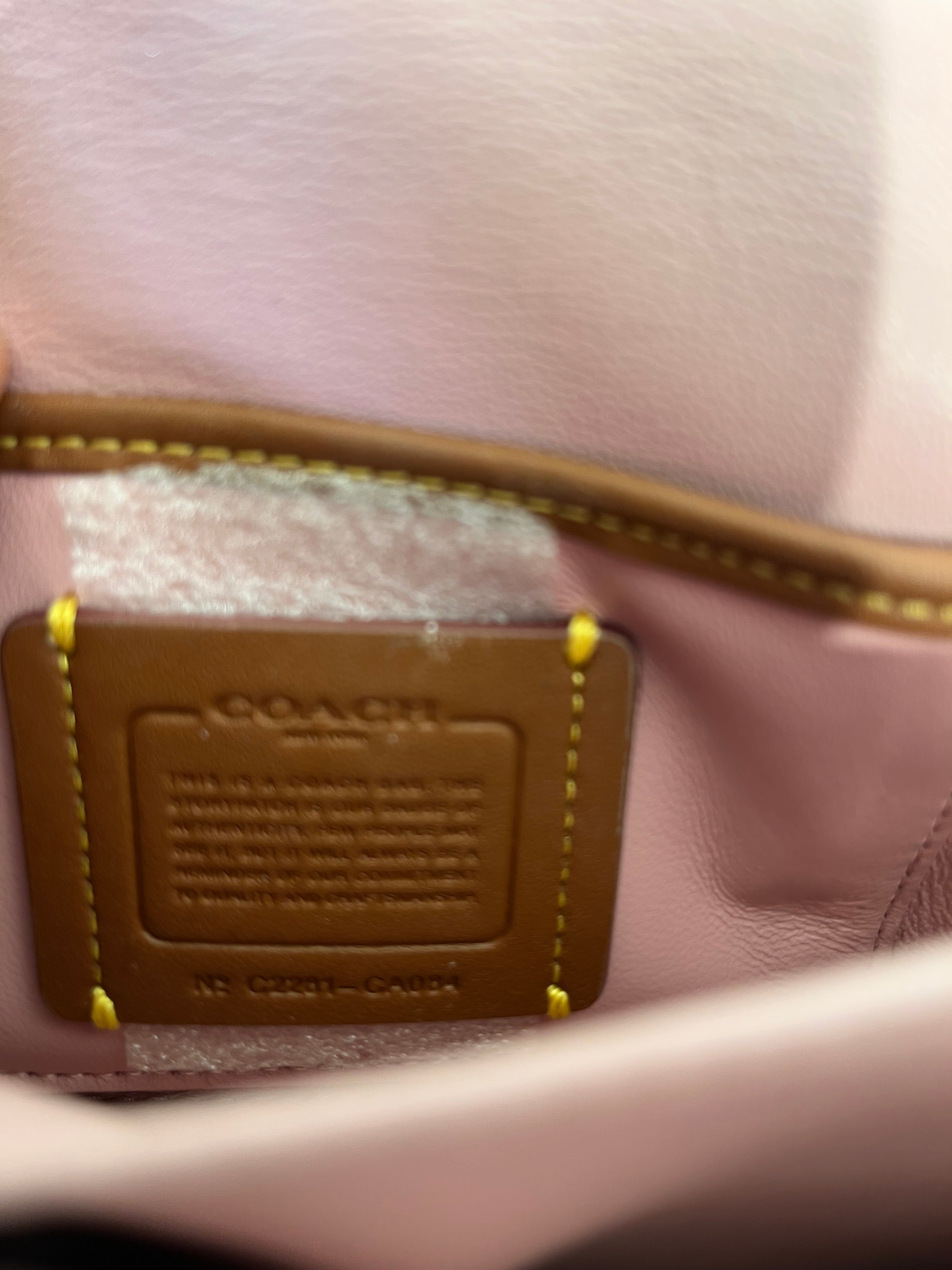 COACH/Clutch Bag/Leather/MLT/Pillow Tabby Ombre view 7