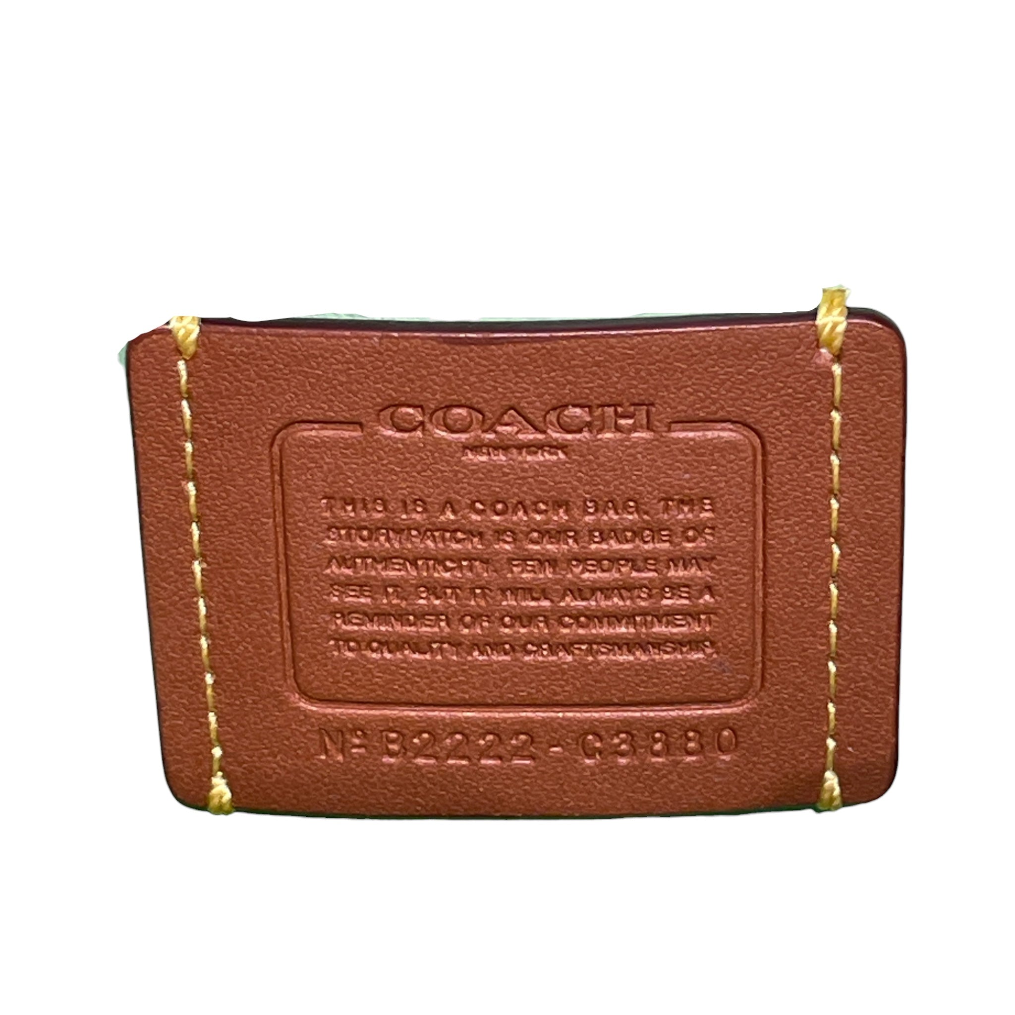 COACH/Cross Body Bag/Leather/GRN/pillow tabby bag view 4
