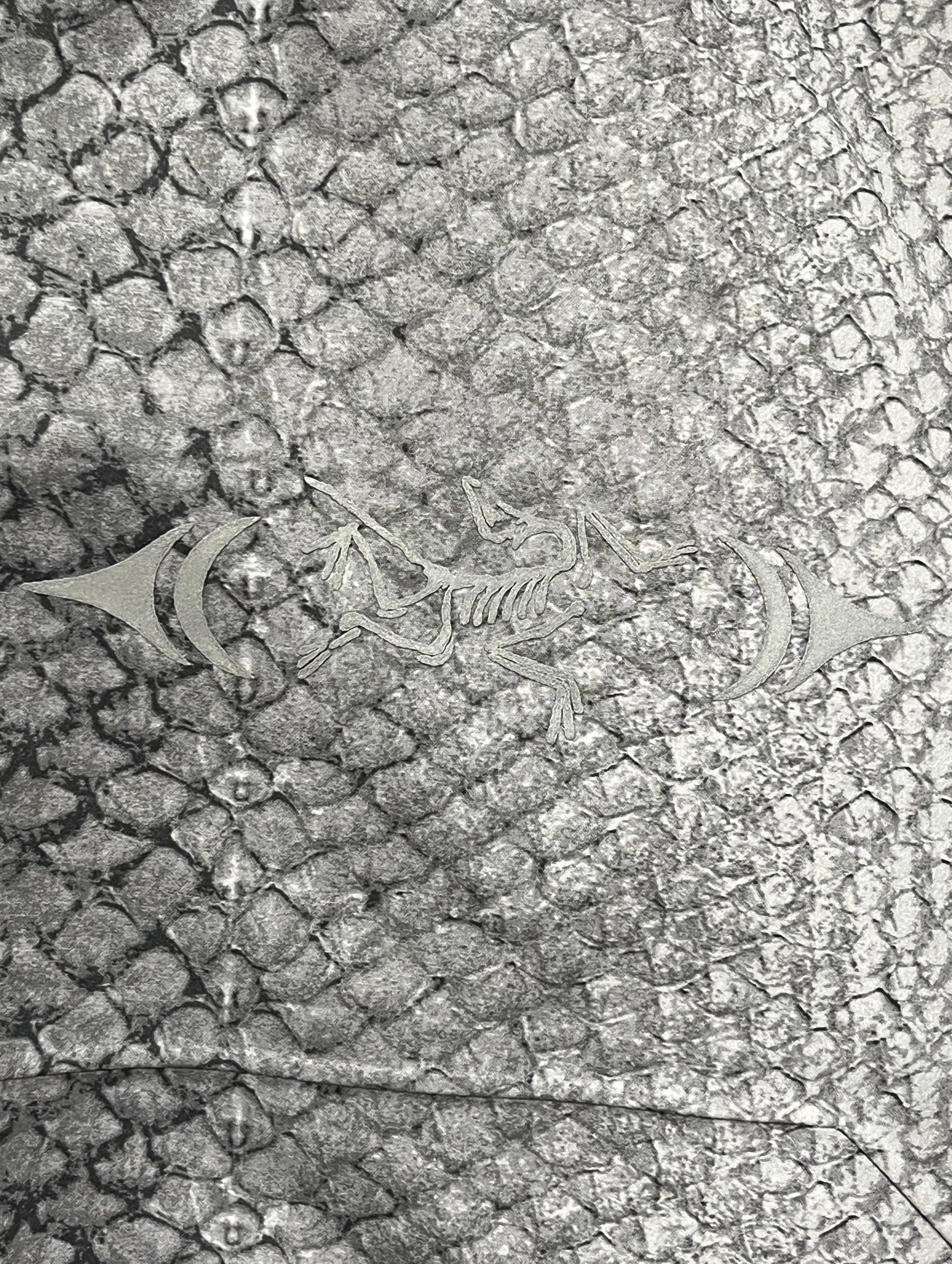 ARC'TERYX/Windbreaker/M/Nylon/GRY/Animal Pattern/WALK GENTLY FISHSCALE BETA view 3