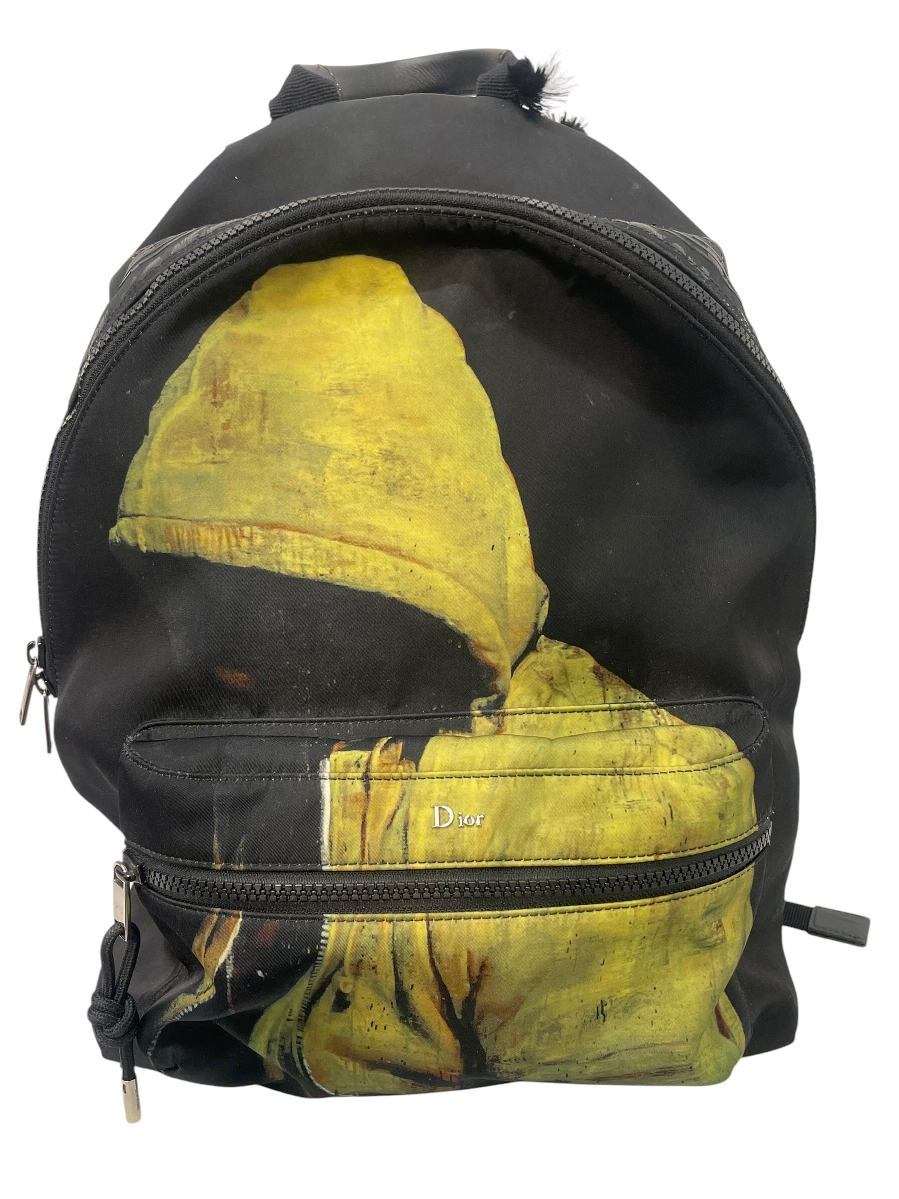 Dior HOMME/Backpack/Graphic/Nylon/BLK/francois bard view 1