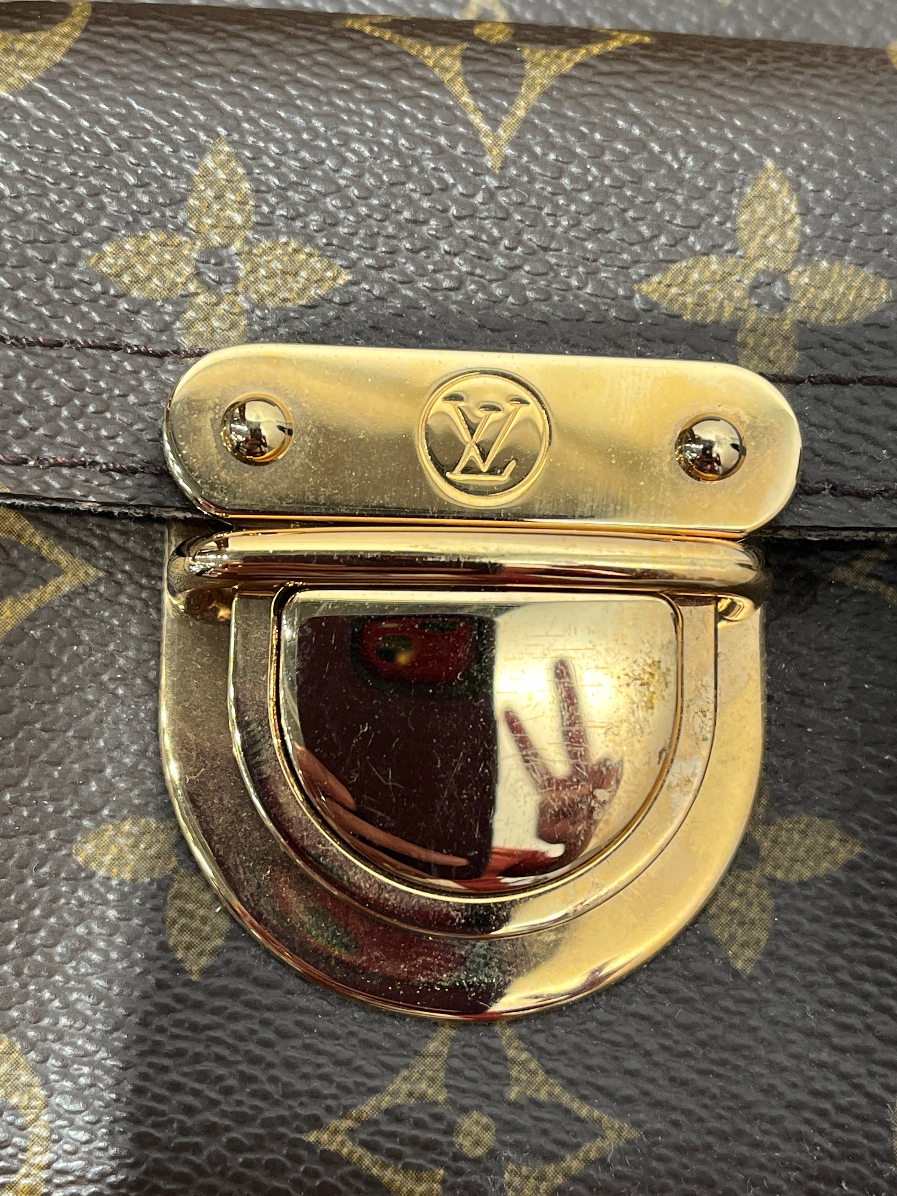 LOUIS VUITTON/Hand Bag/Monogram/Leather/BRW/HUDSON PM BUCKLES view 7