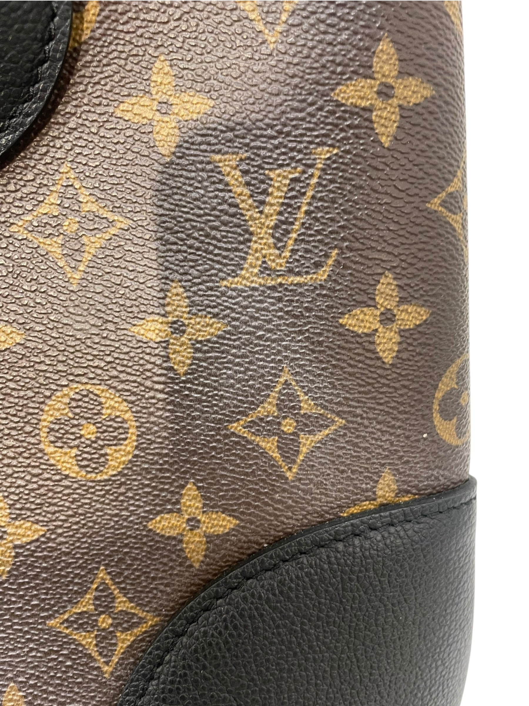 LOUIS VUITTON/Tote Bag/Monogram/Leather/BRW/FLANDERIN black accents view 7