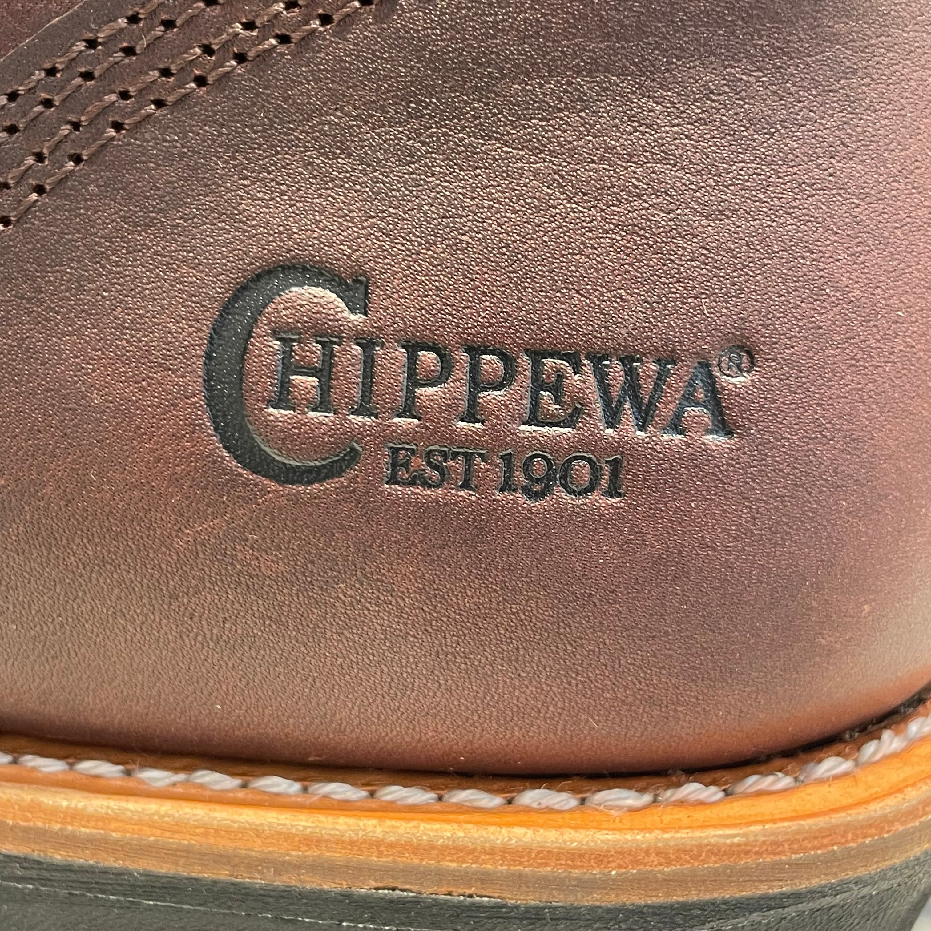 CHIPPEWA/Boots/US 11/Leather/BRD/ view 3