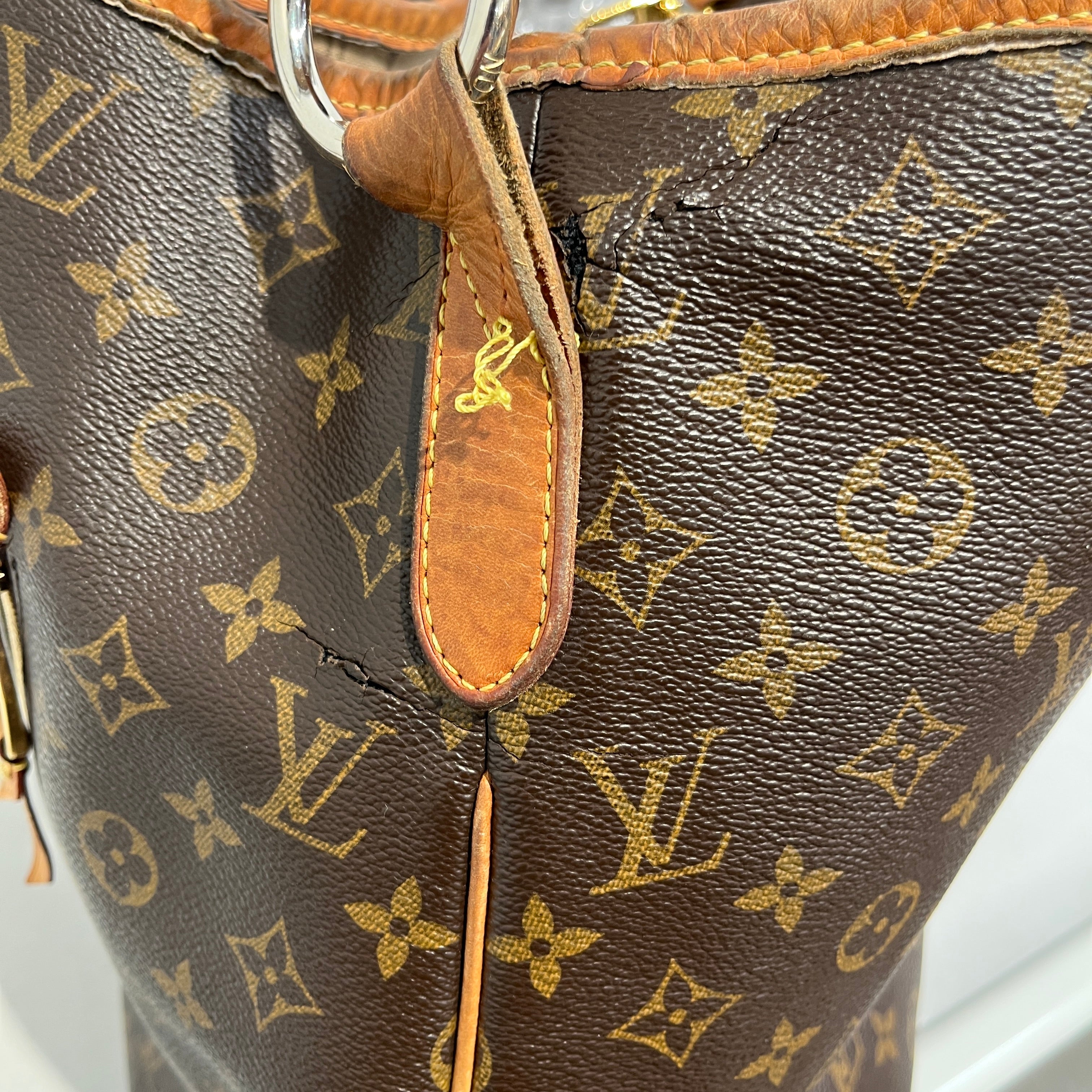 LOUIS VUITTON/Bag/Leather/BRW/,DELIGHTFUL GM view 7