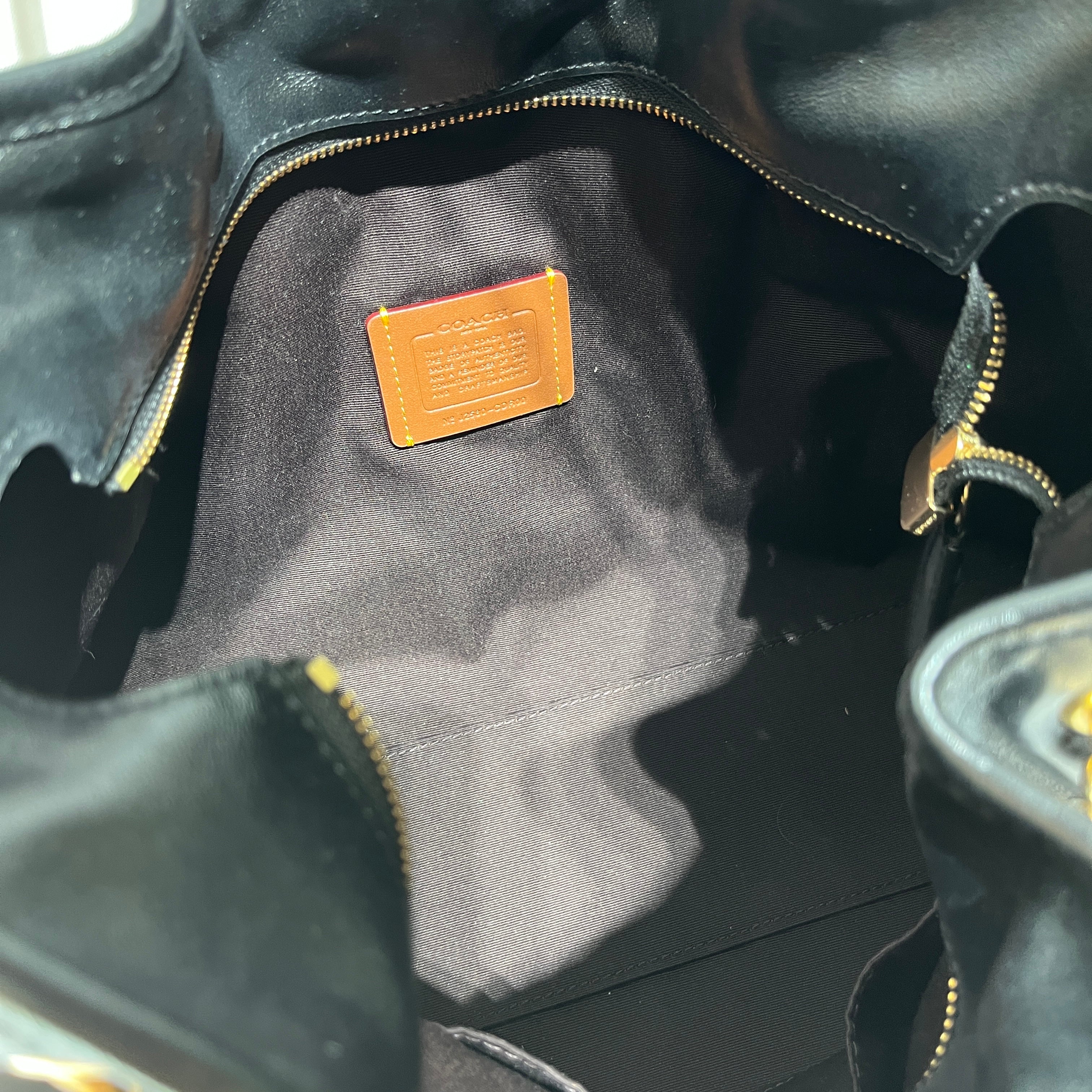 COACH/Bag/Leather/BLK/evelyn bag view 4