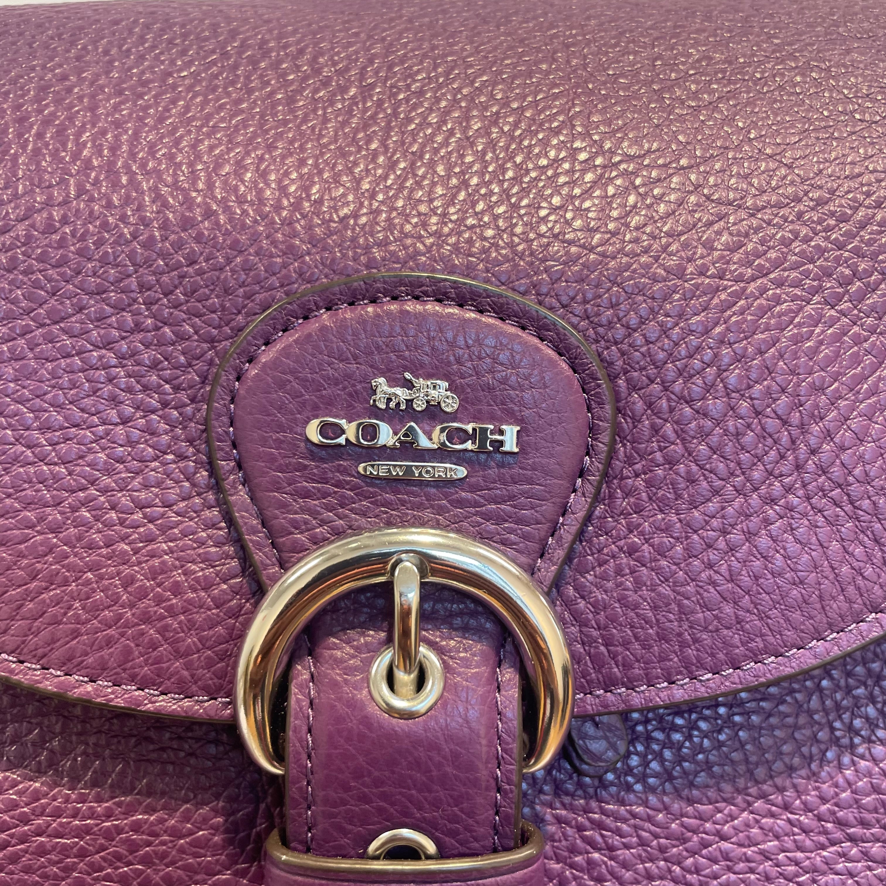 COACH/Backpack/Leather/PPL/ view 4