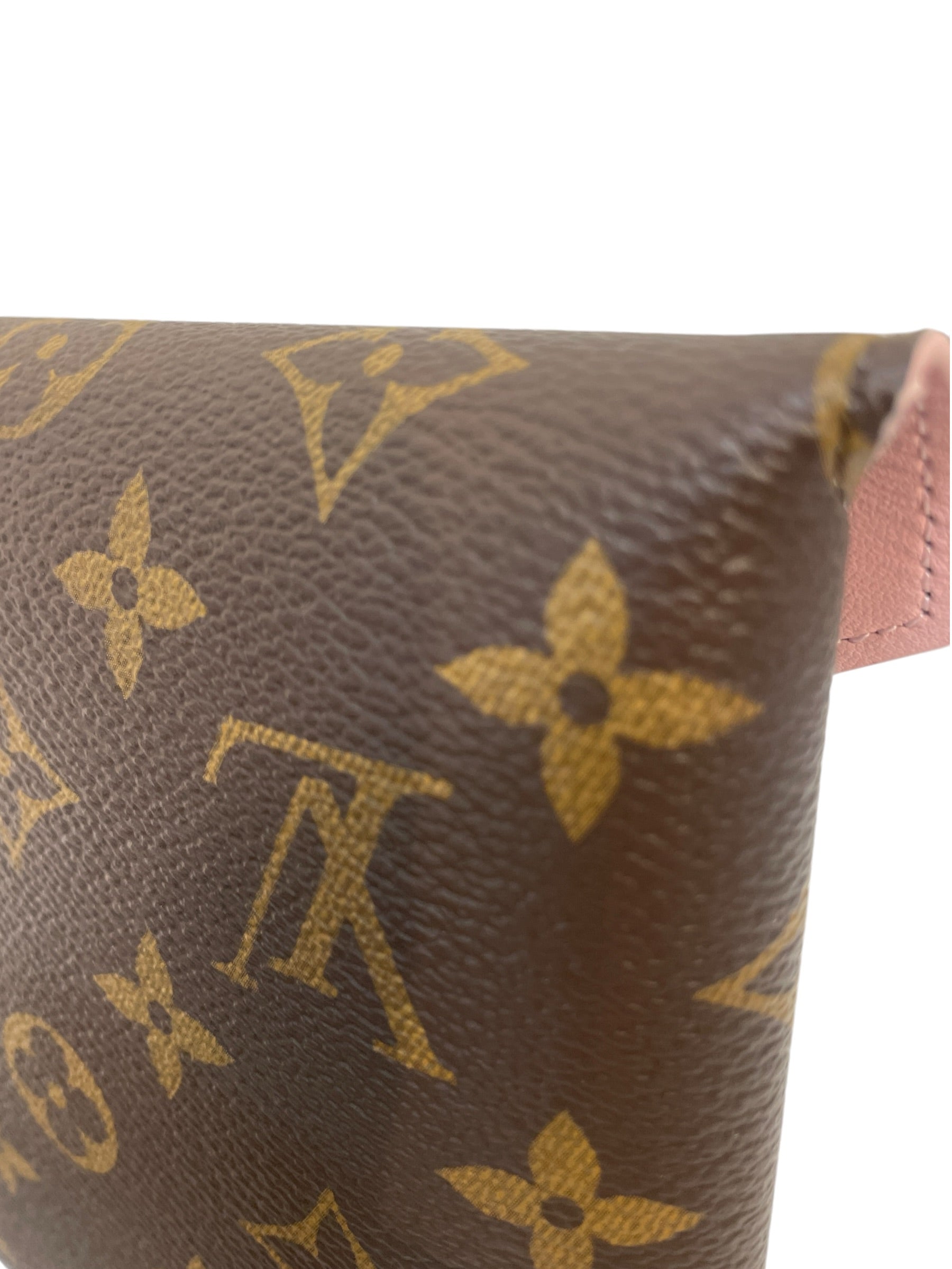 LOUIS VUITTON/Pouch/Monogram/Leather/BRW/kirigami pochette set view 9