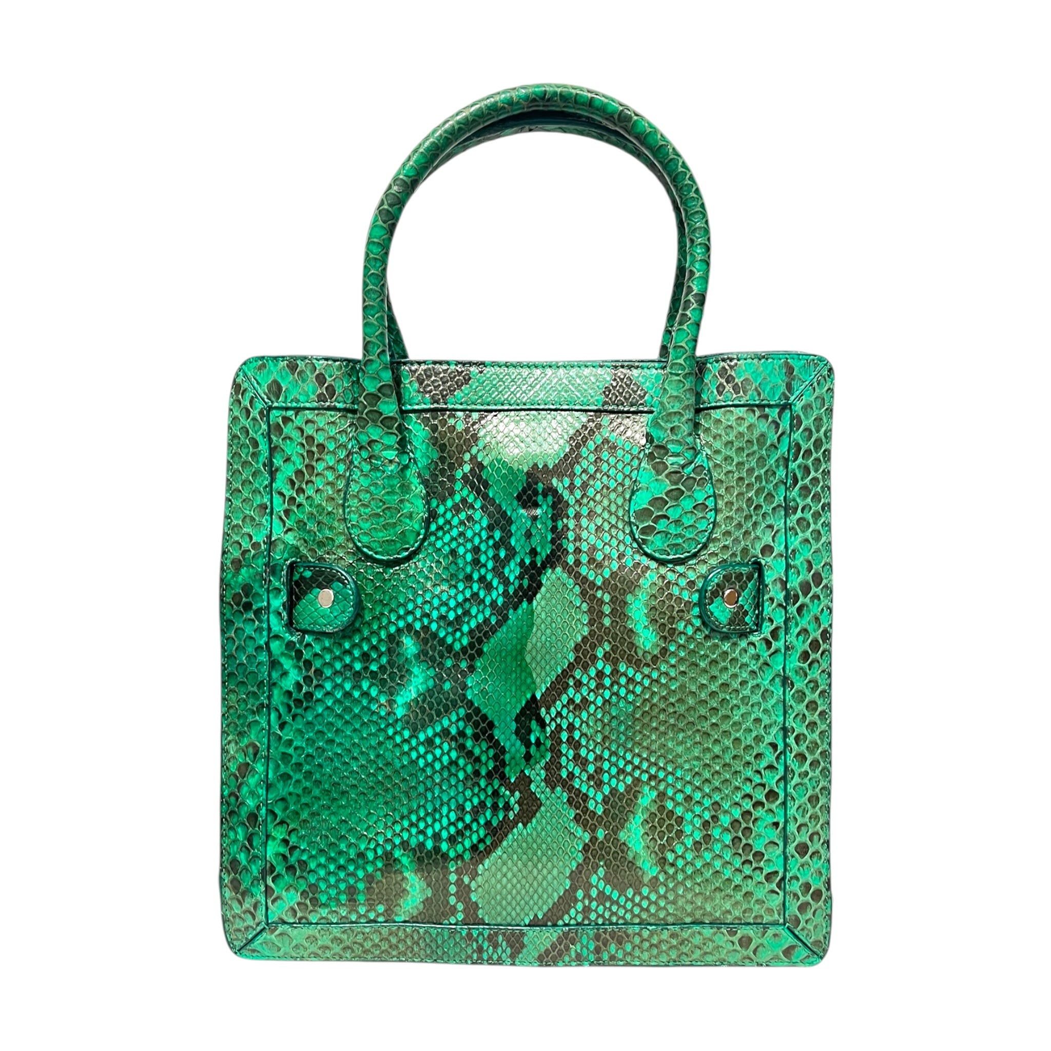 PROENZA SCHOULER/Cross Body Bag/Animal Pattern/GRN/python cross body tote view 2