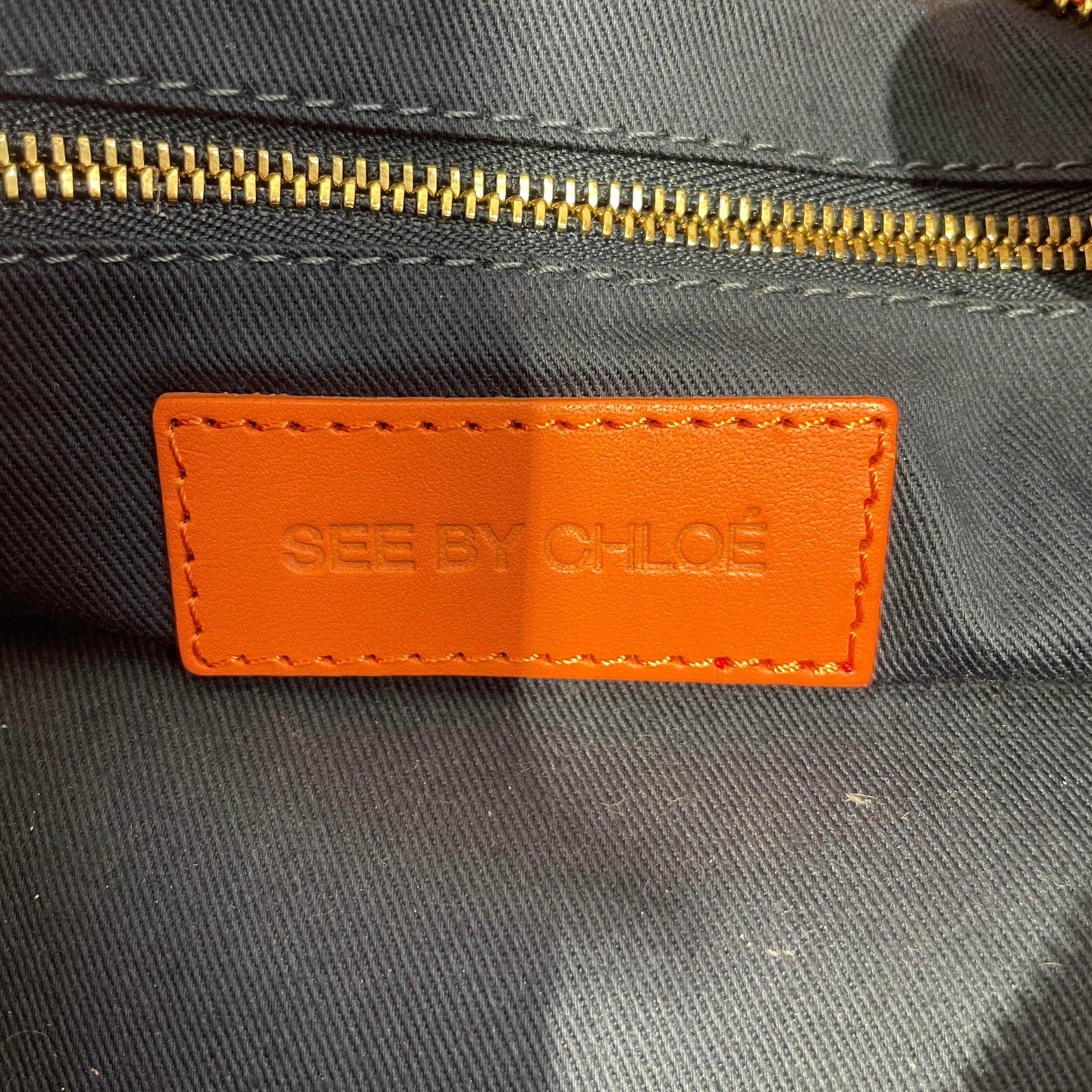 SEE BY CHLOE/Hand Bag/Leather/ORN/CORAL W/ FLORAL STRAP/HARDWARE view 6