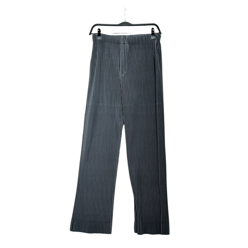 HOMME PLISSE ISSEY MIYAKE/Straight Pants/1/Polyester/GRY/