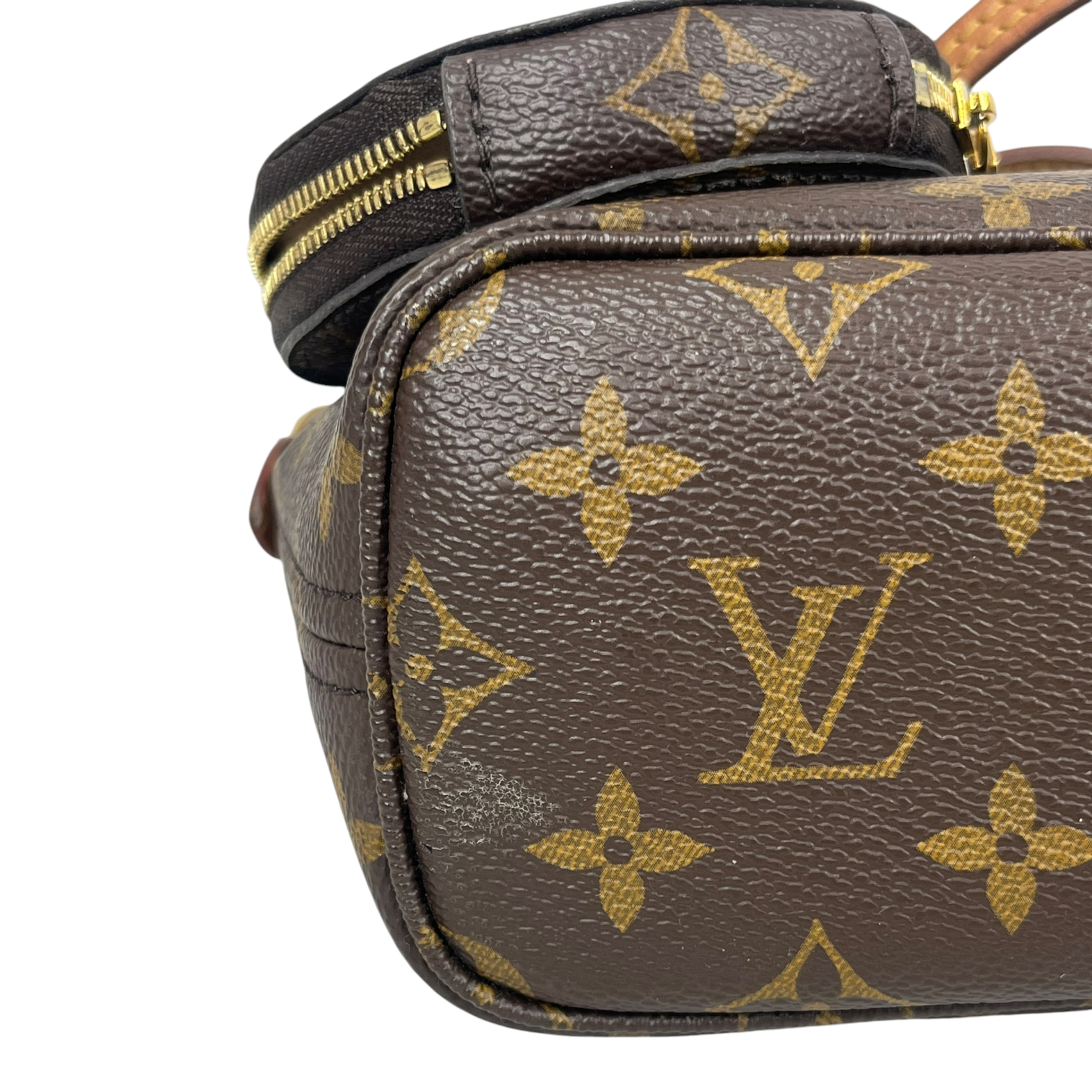 LOUIS VUITTON/Hand Bag/Monogram/Leather/BRW/NEVERFULL BB view 5