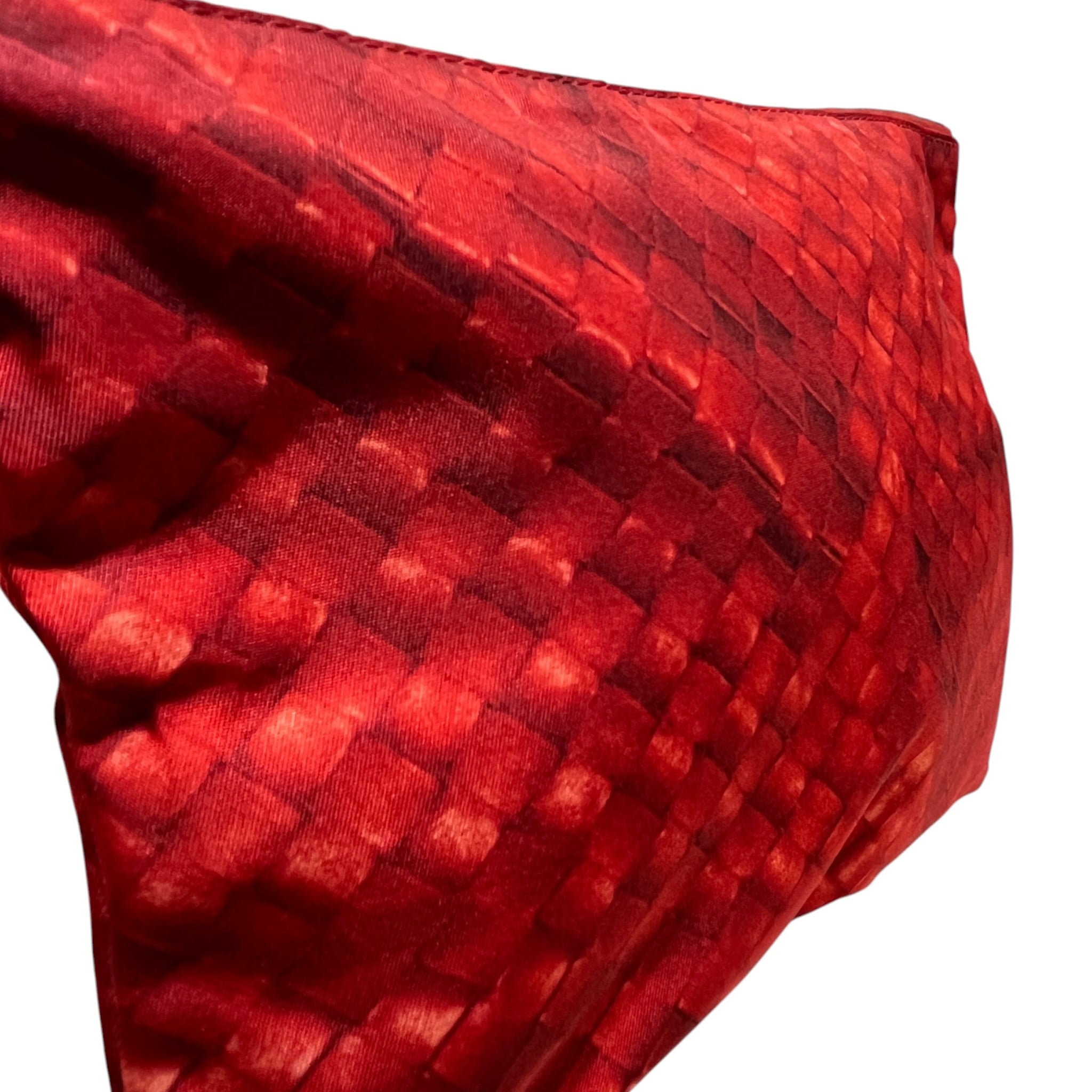 BOTTEGA VENETA/Pouch/All Over Print/Nylon/RED/INTERCCIOLUSION view 5