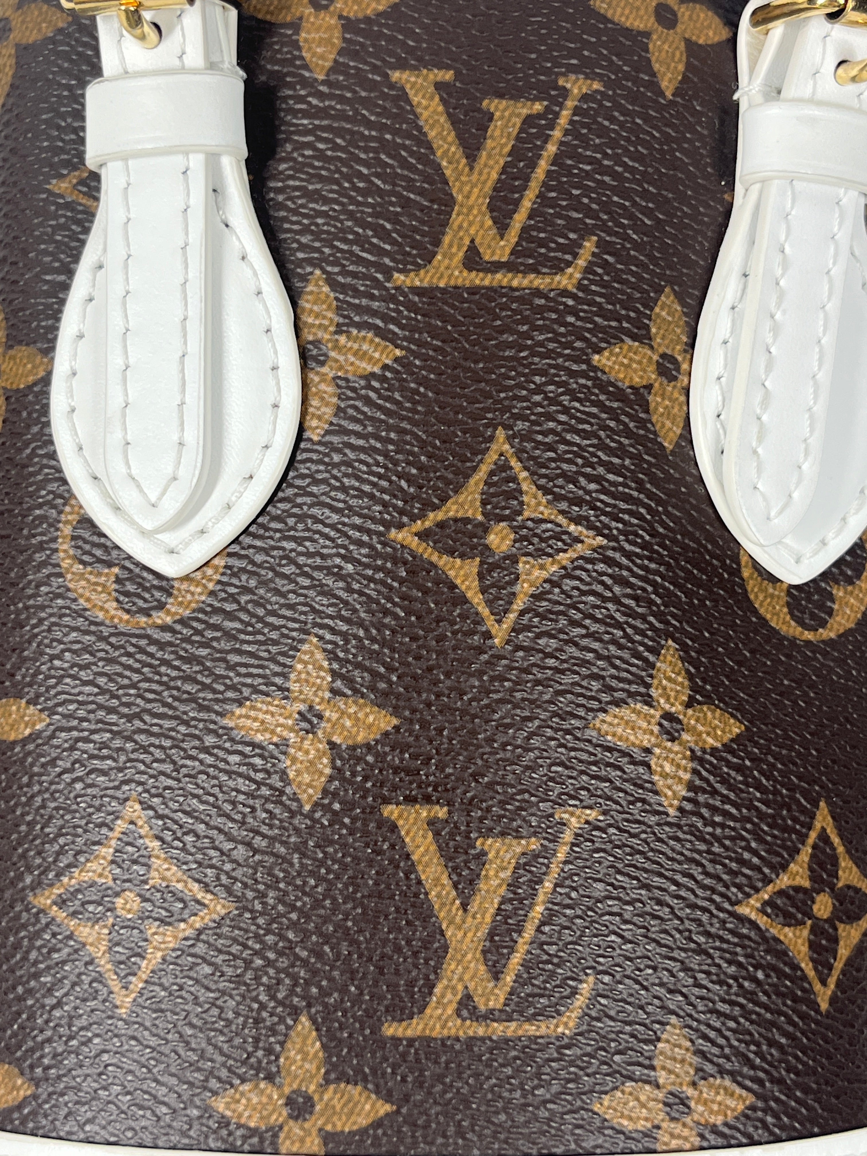LOUIS VUITTON/Bag/All Over Print/Leather/BRW/BUCKET BAG view 6