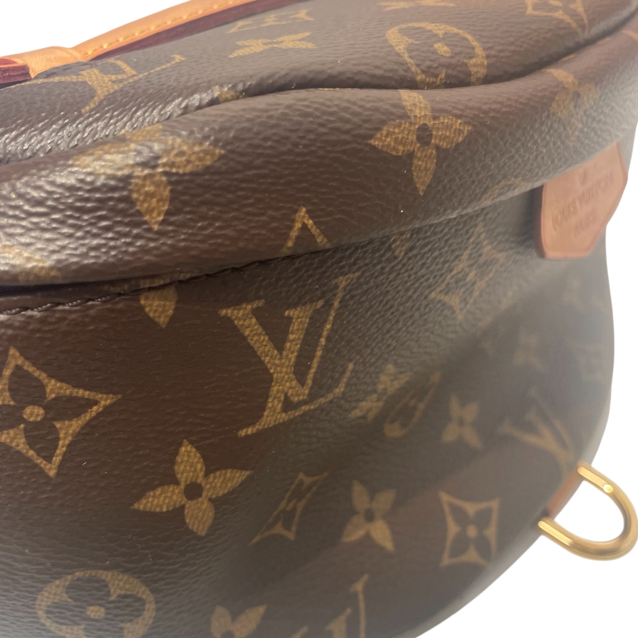 LOUIS VUITTON/Fanny Pack/Monogram/Leather/BRW/bum bag view 9