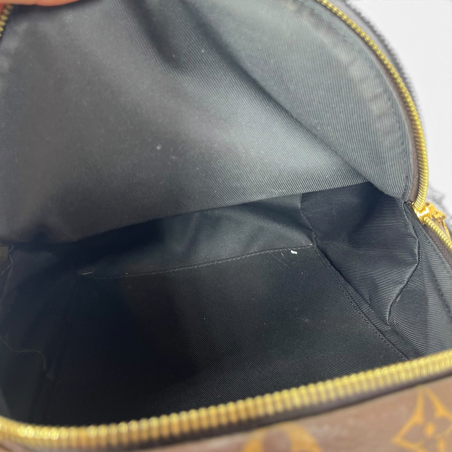 LOUIS VUITTON/Backpack/Monogram/Leather/BRW/MONOGRAM PALM SPRINGS MINI view 4
